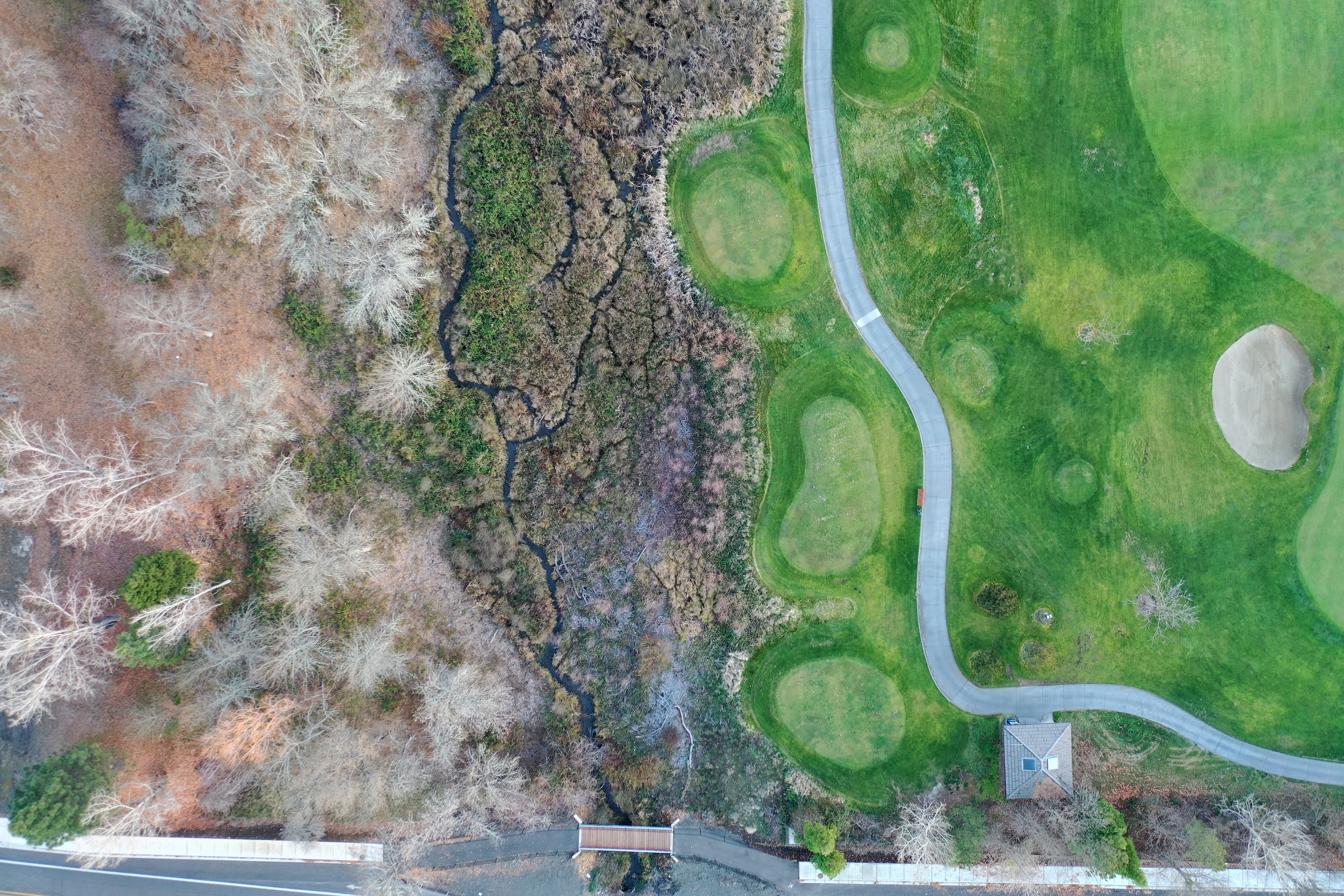 DJI_0361.JPG