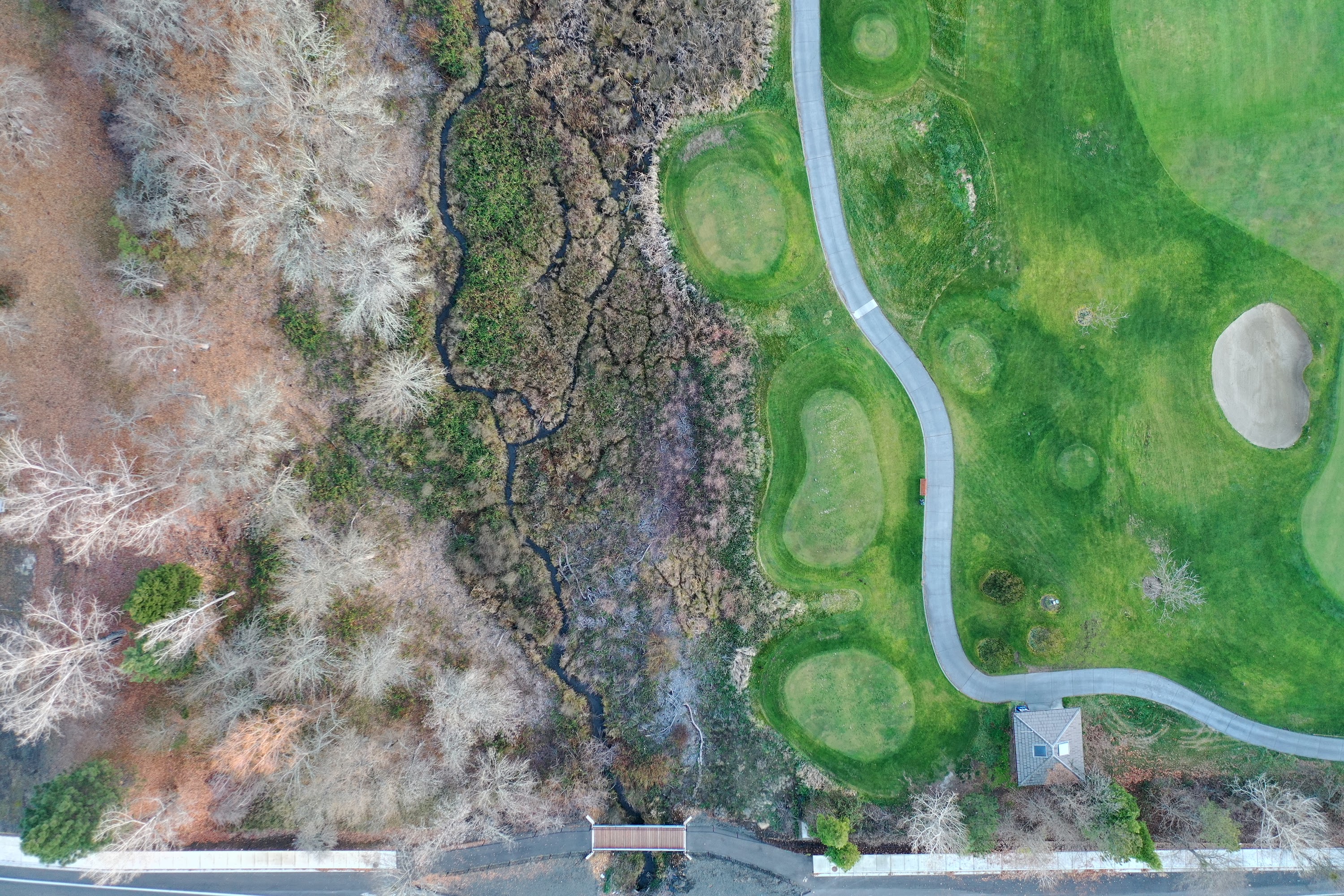 DJI_0362.JPG