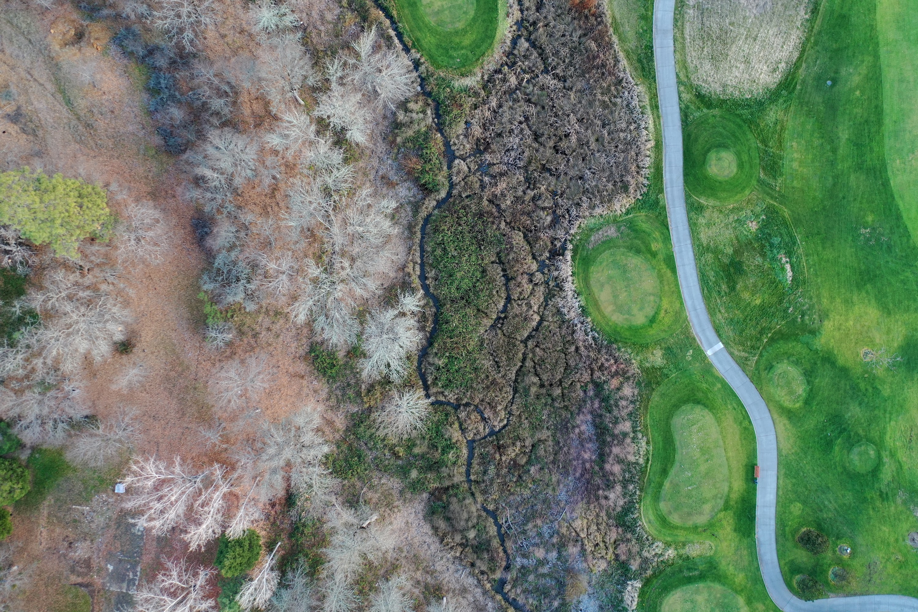 DJI_0364.JPG