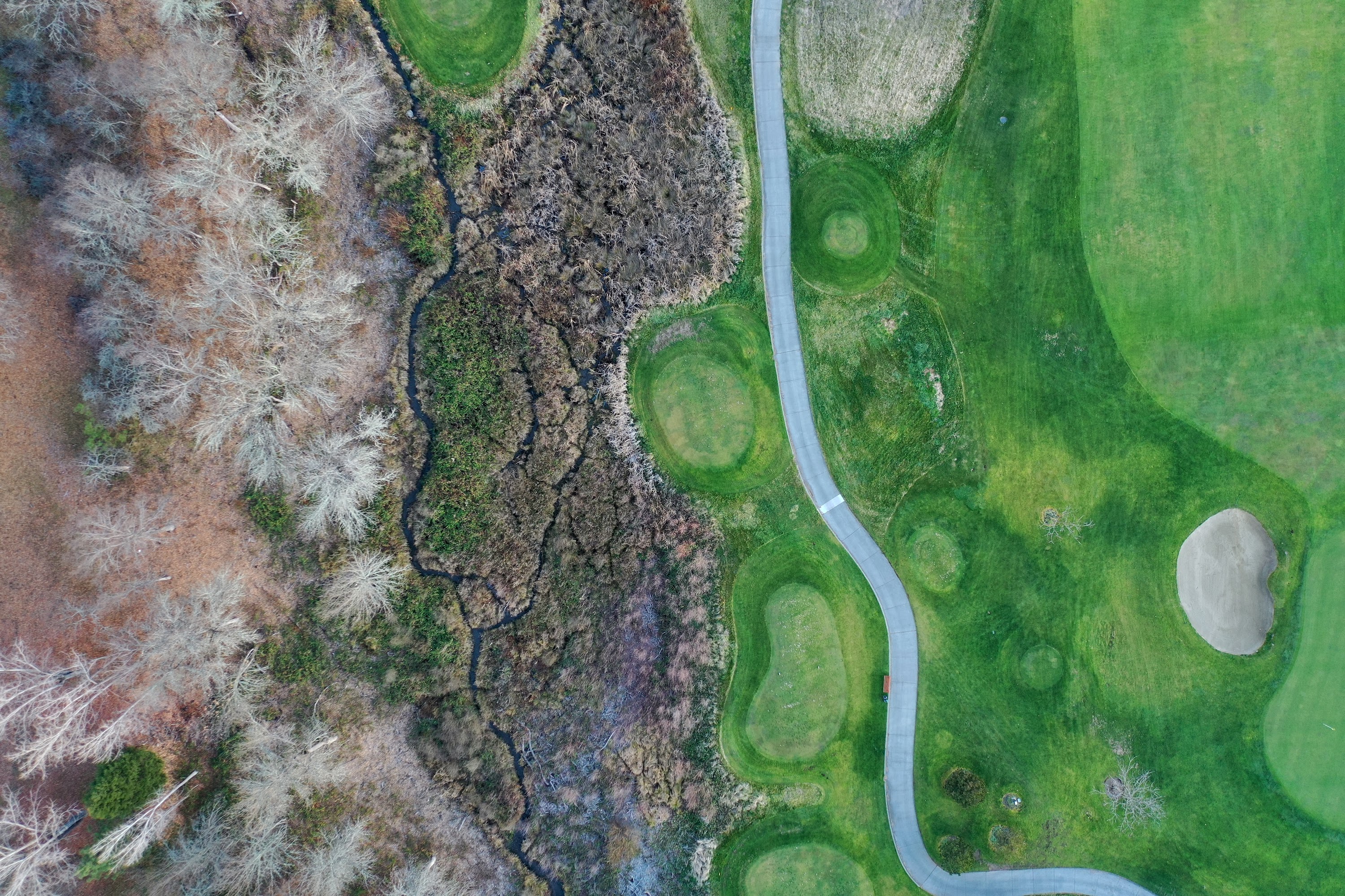 DJI_0365.JPG