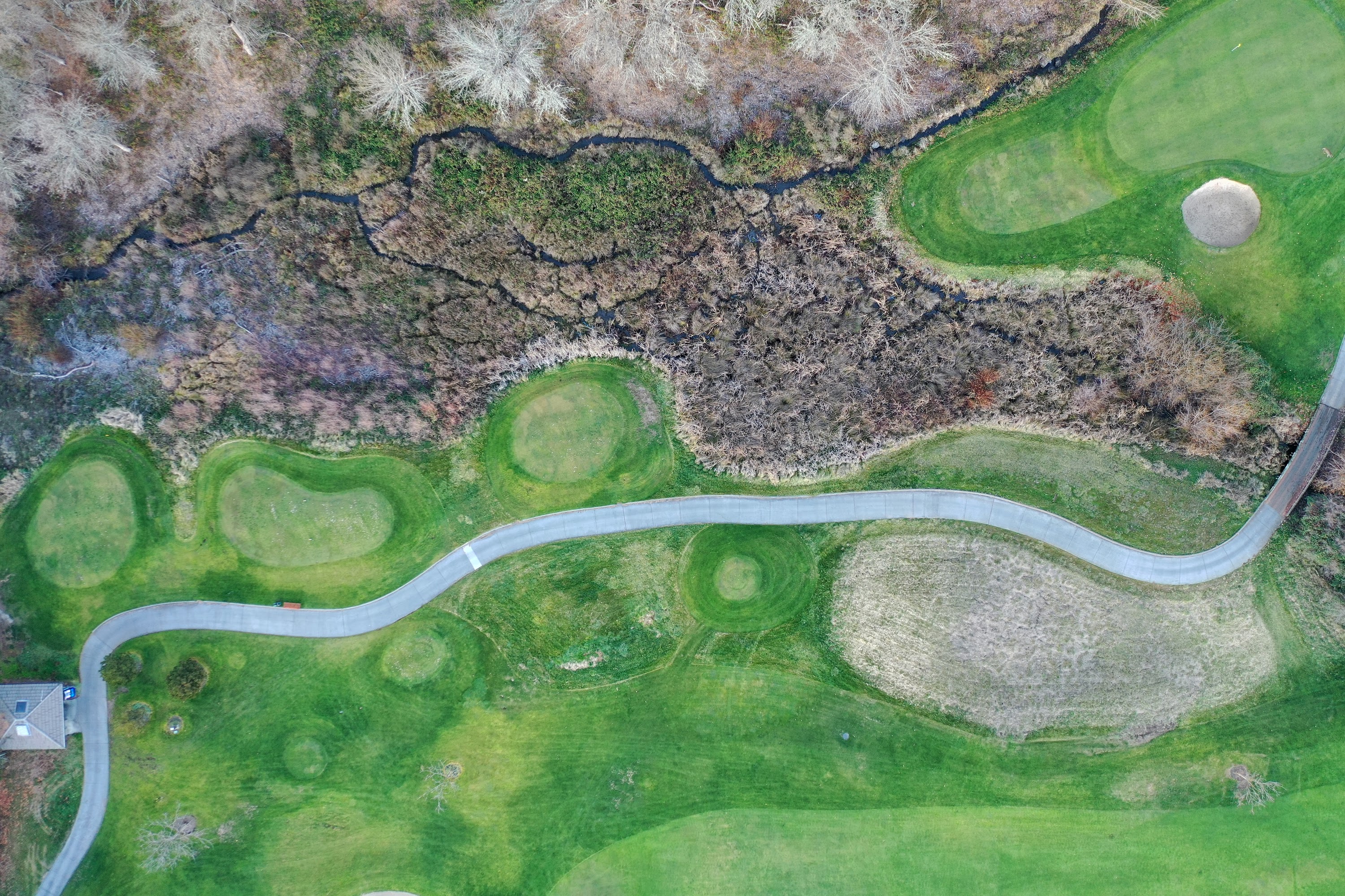 DJI_0366.JPG