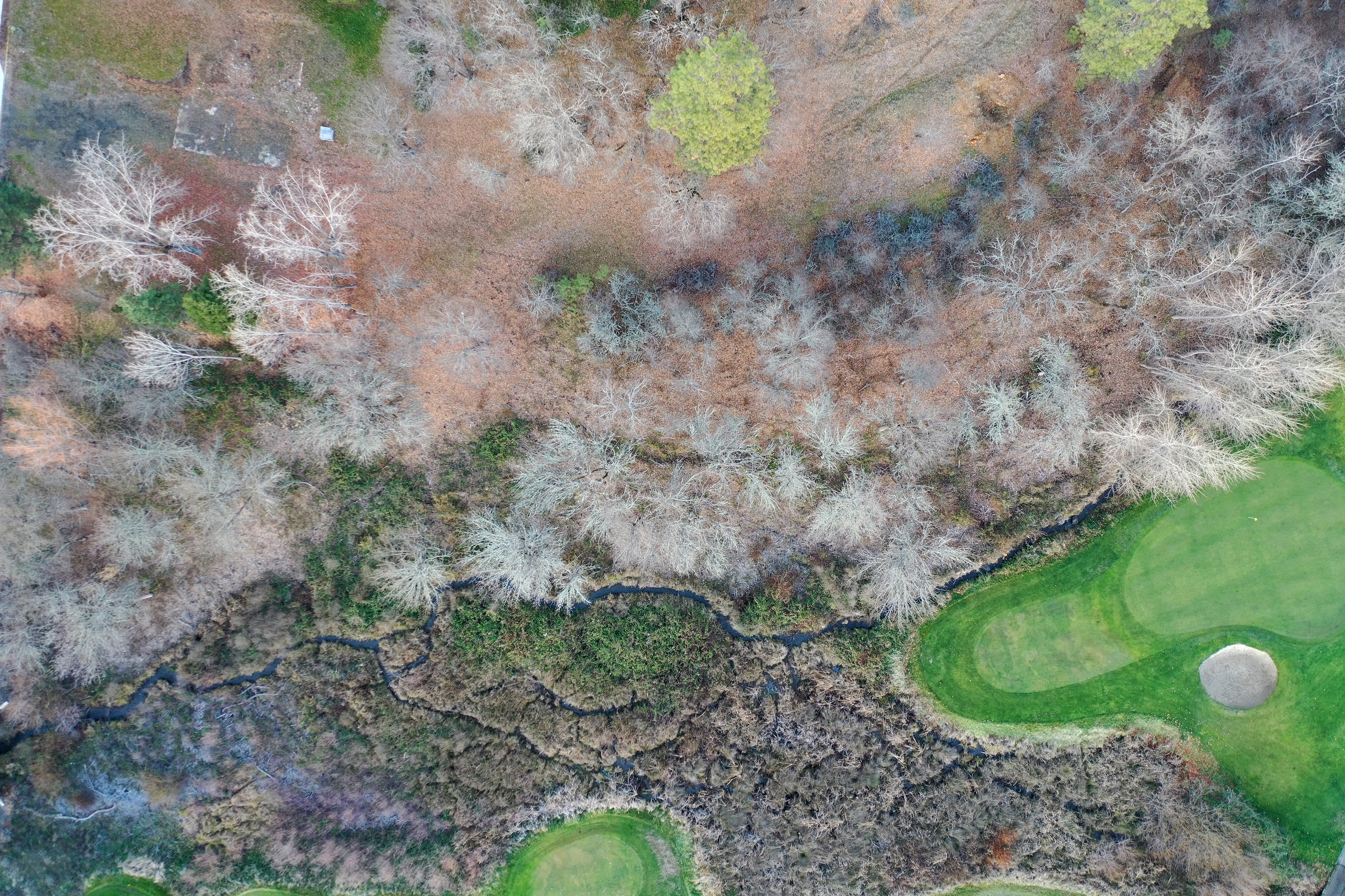 DJI_0367.JPG