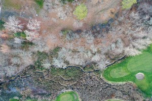 DJI_0367.JPG