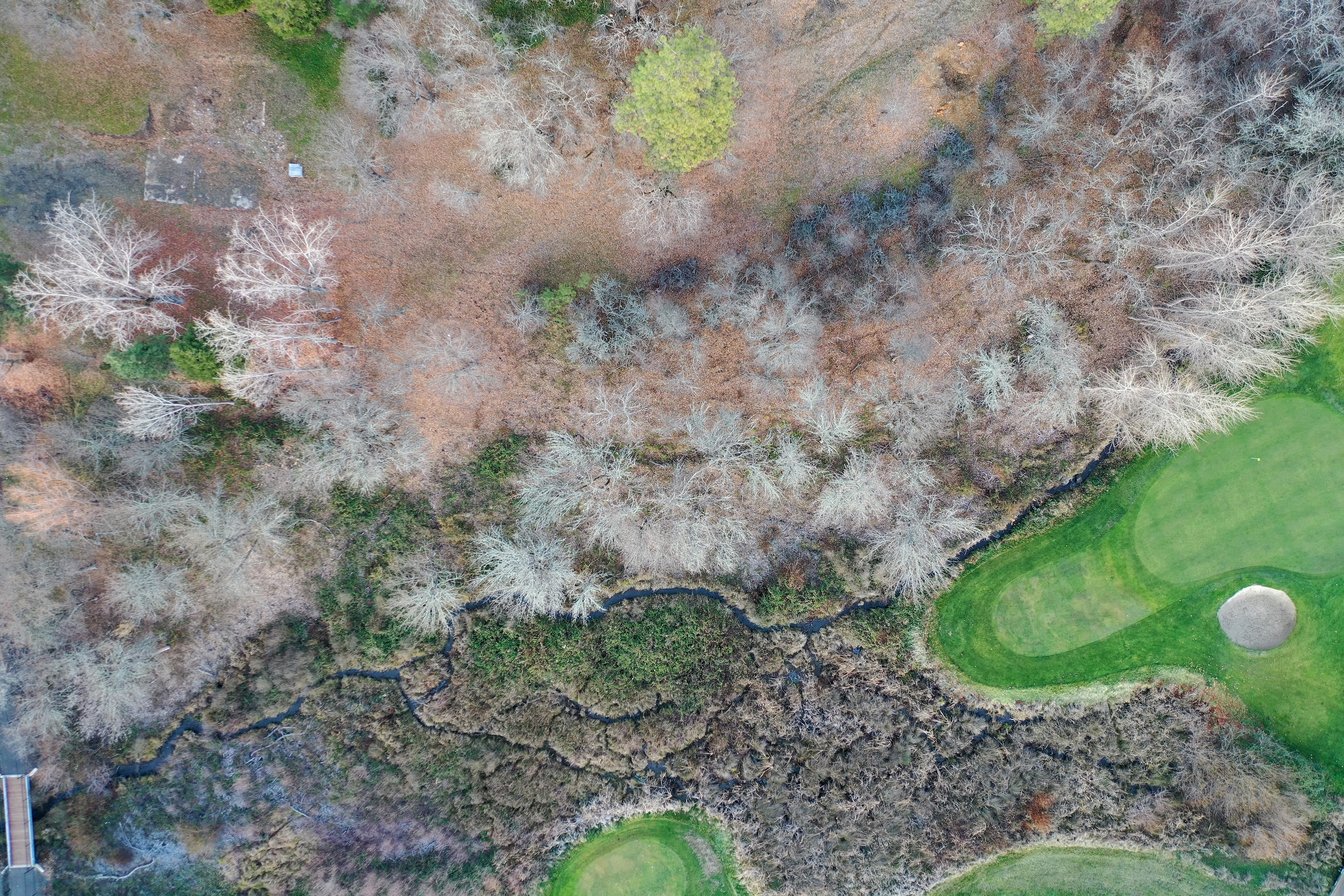 DJI_0368.JPG