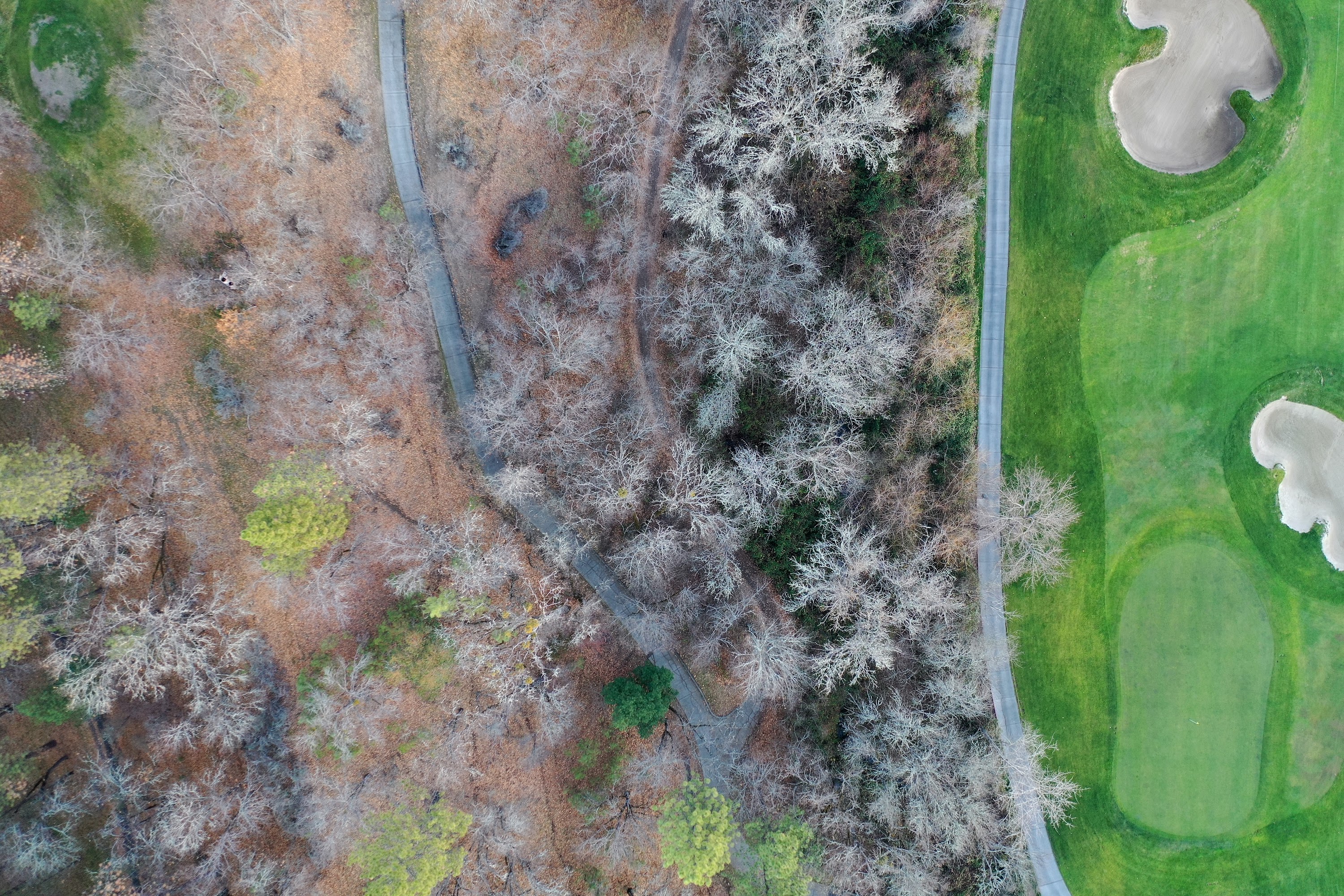 DJI_0371.JPG