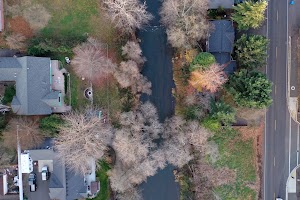 DJI_0385.JPG
