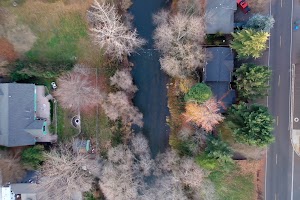 DJI_0389.JPG