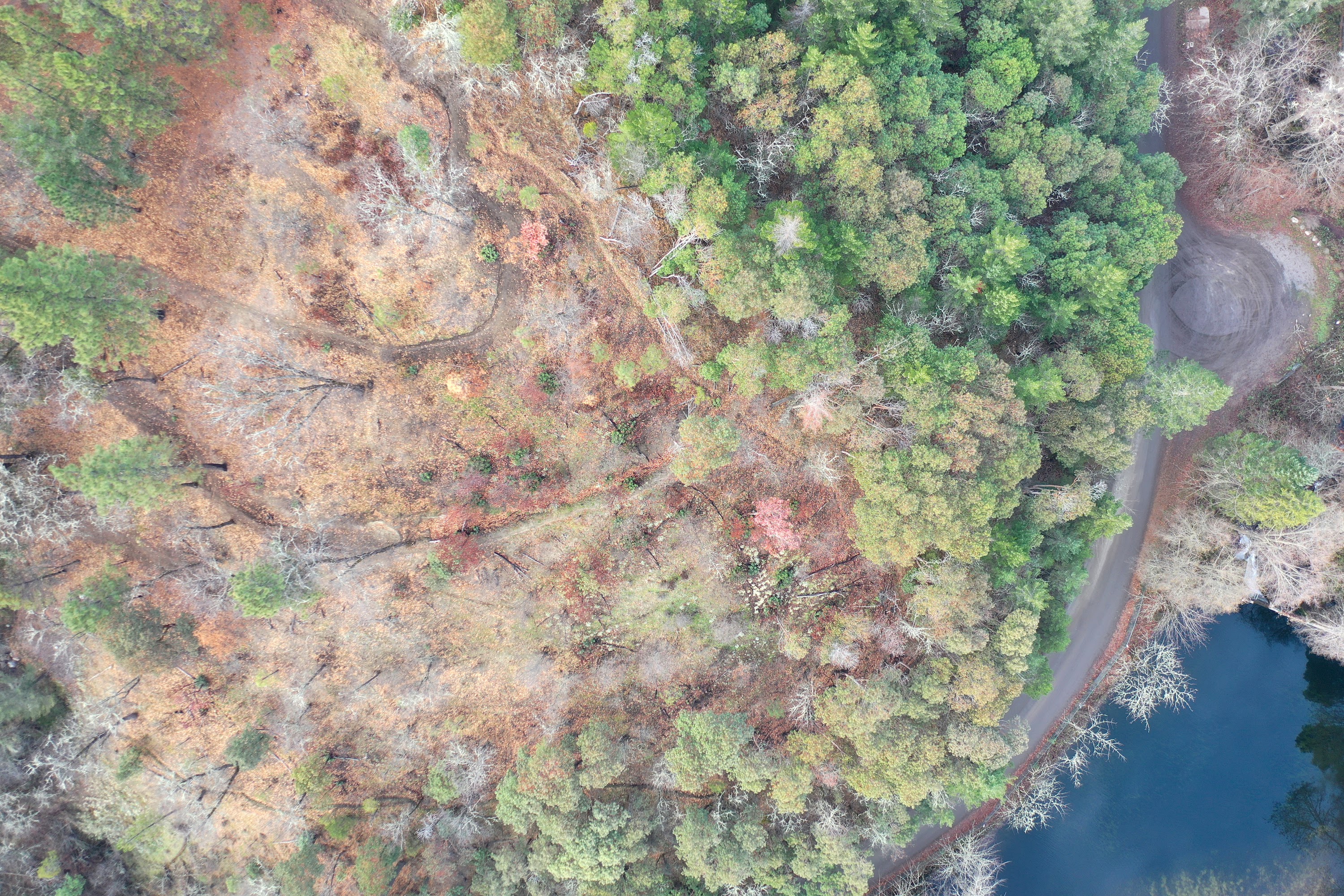 DJI_0427.JPG