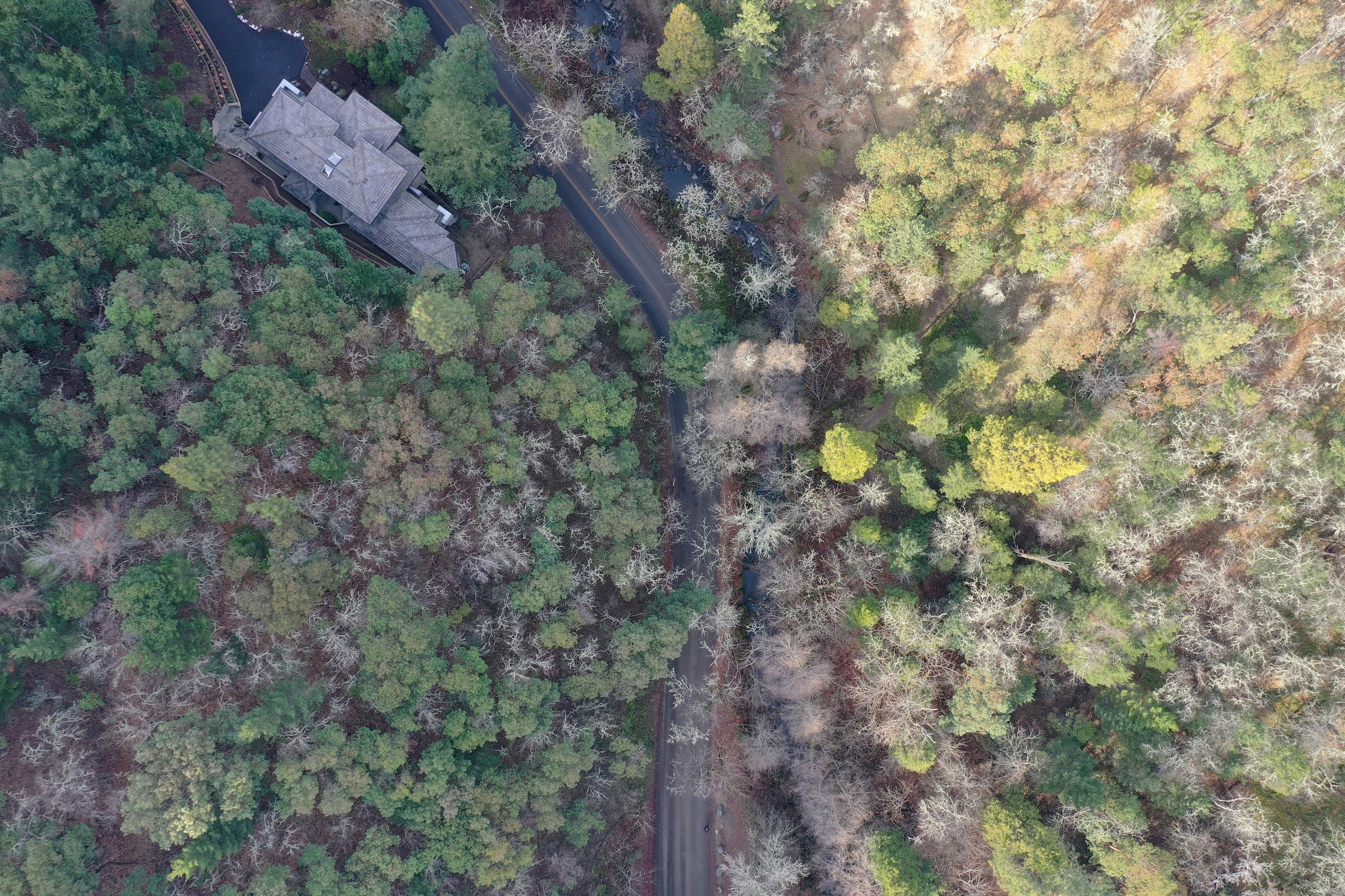 DJI_0439.JPG