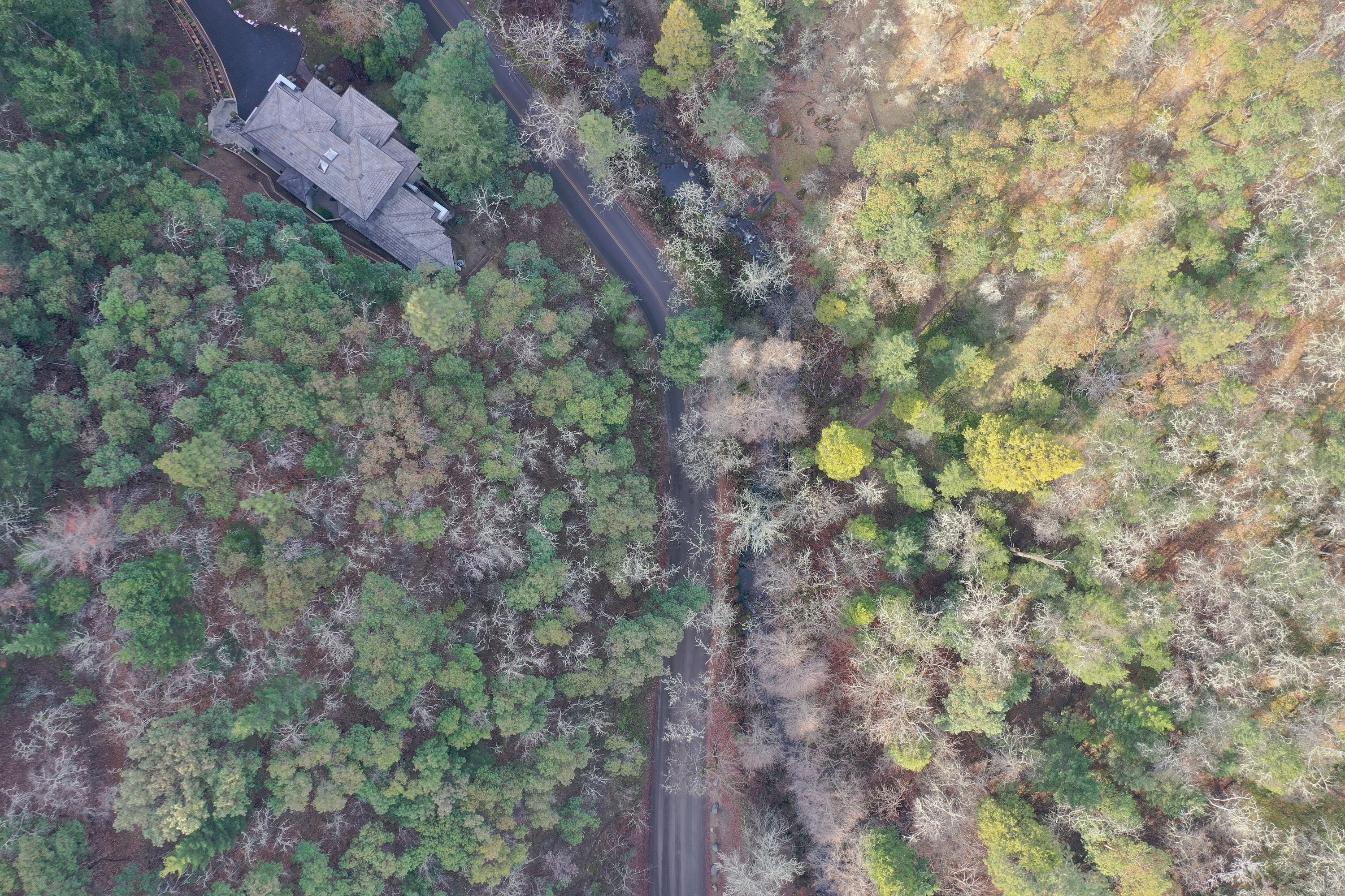DJI_0440.JPG