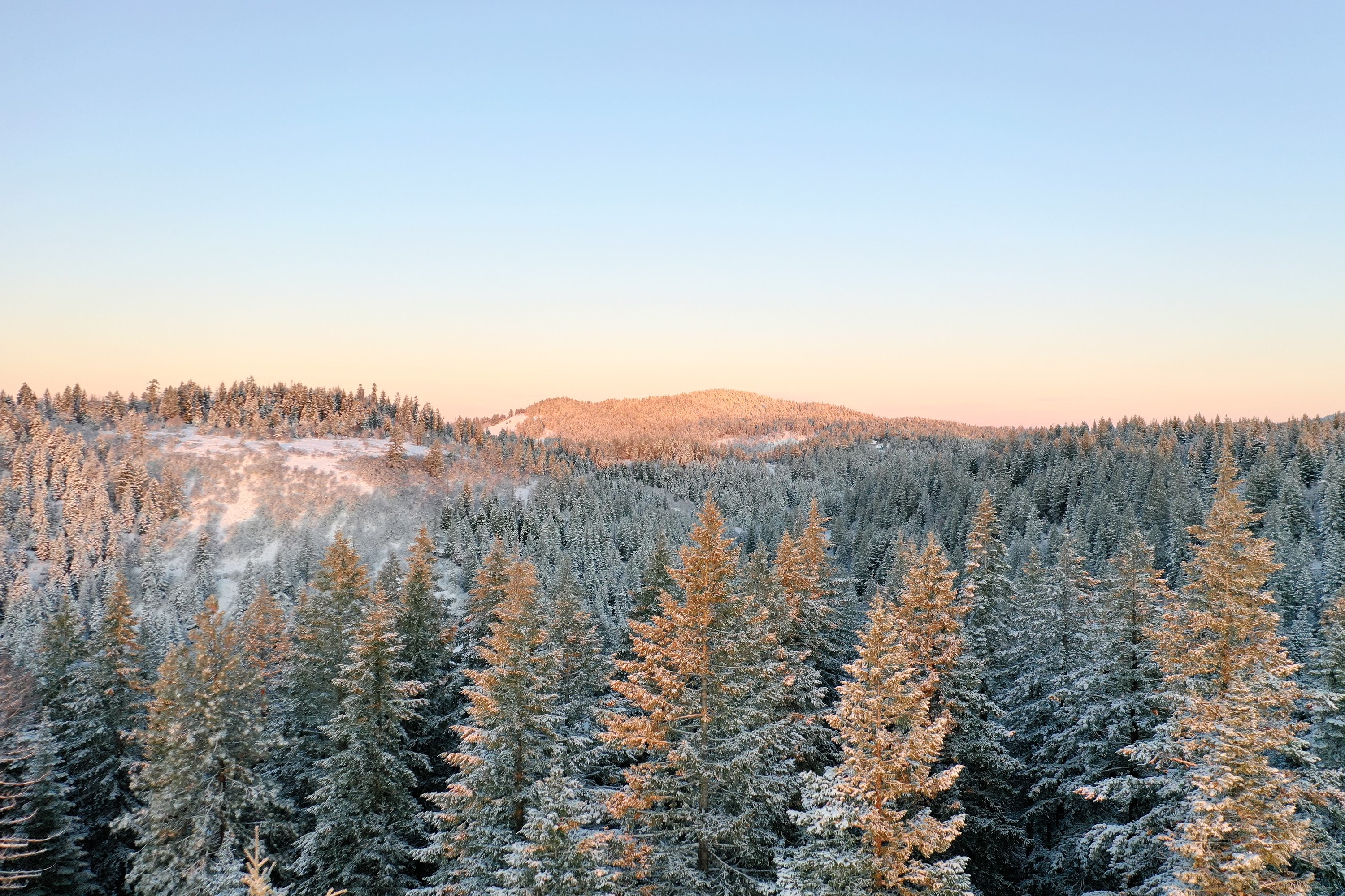 DJI_0462.JPG