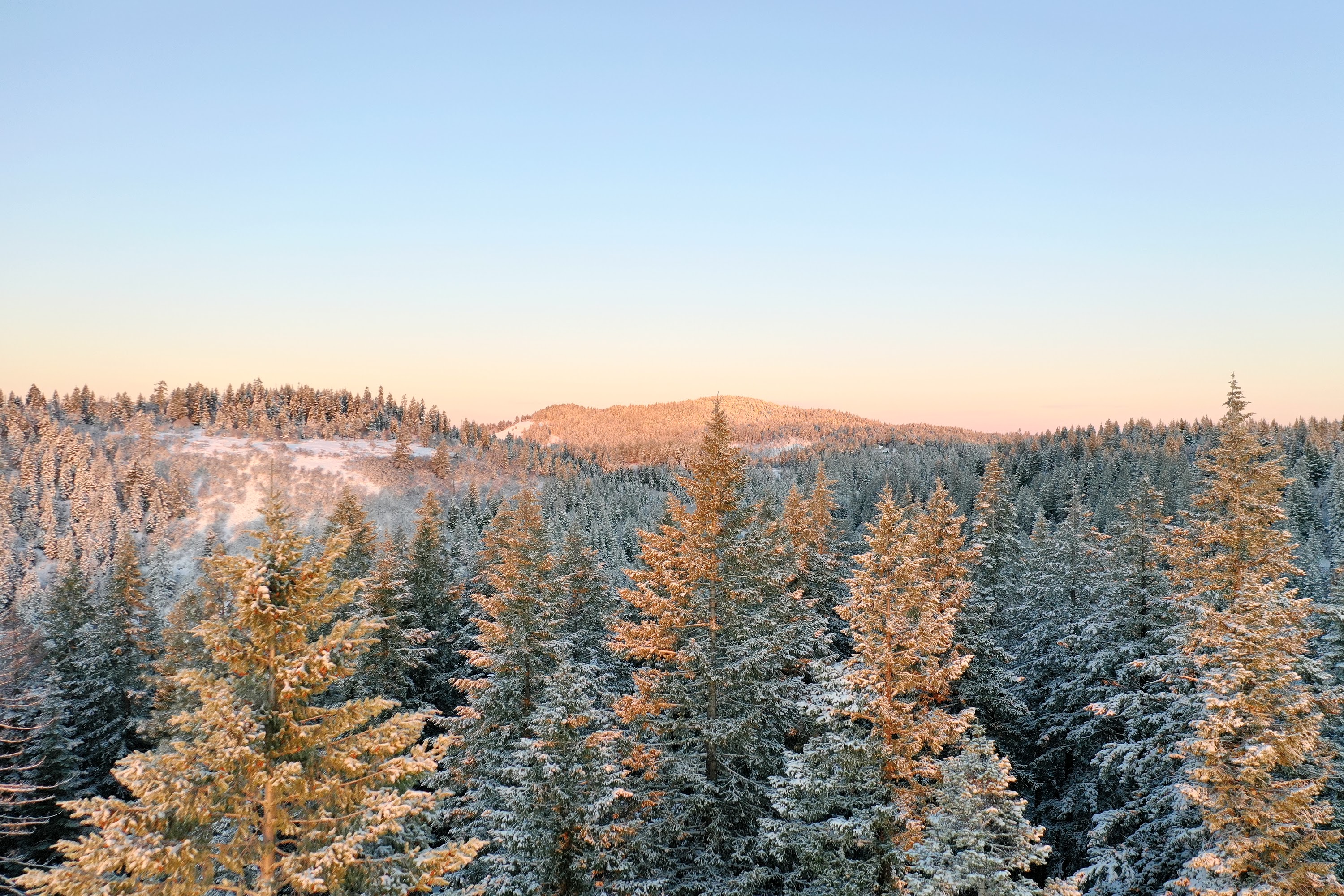 DJI_0463.JPG