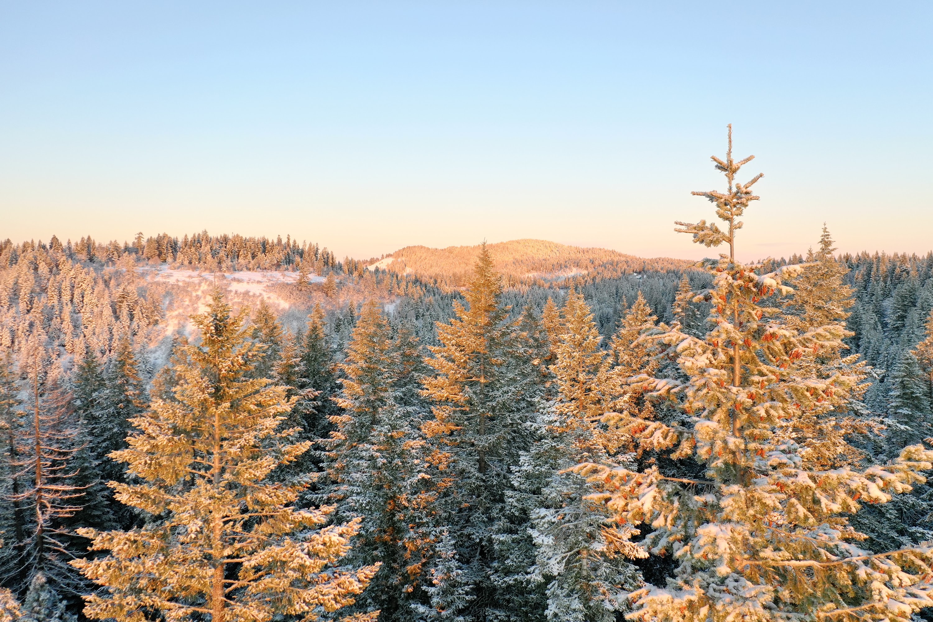 DJI_0464.JPG