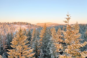 DJI_0464.JPG