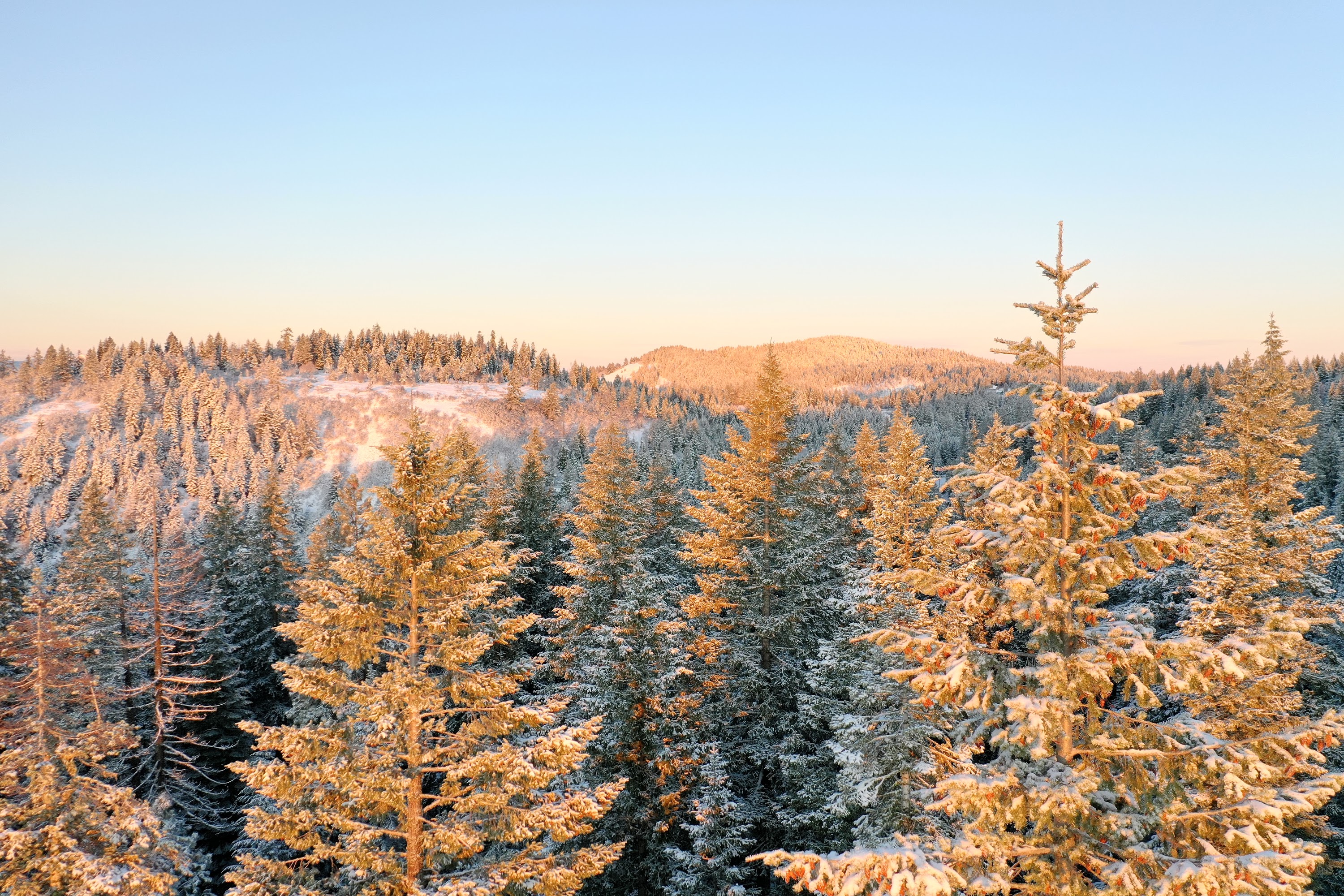 DJI_0465.JPG