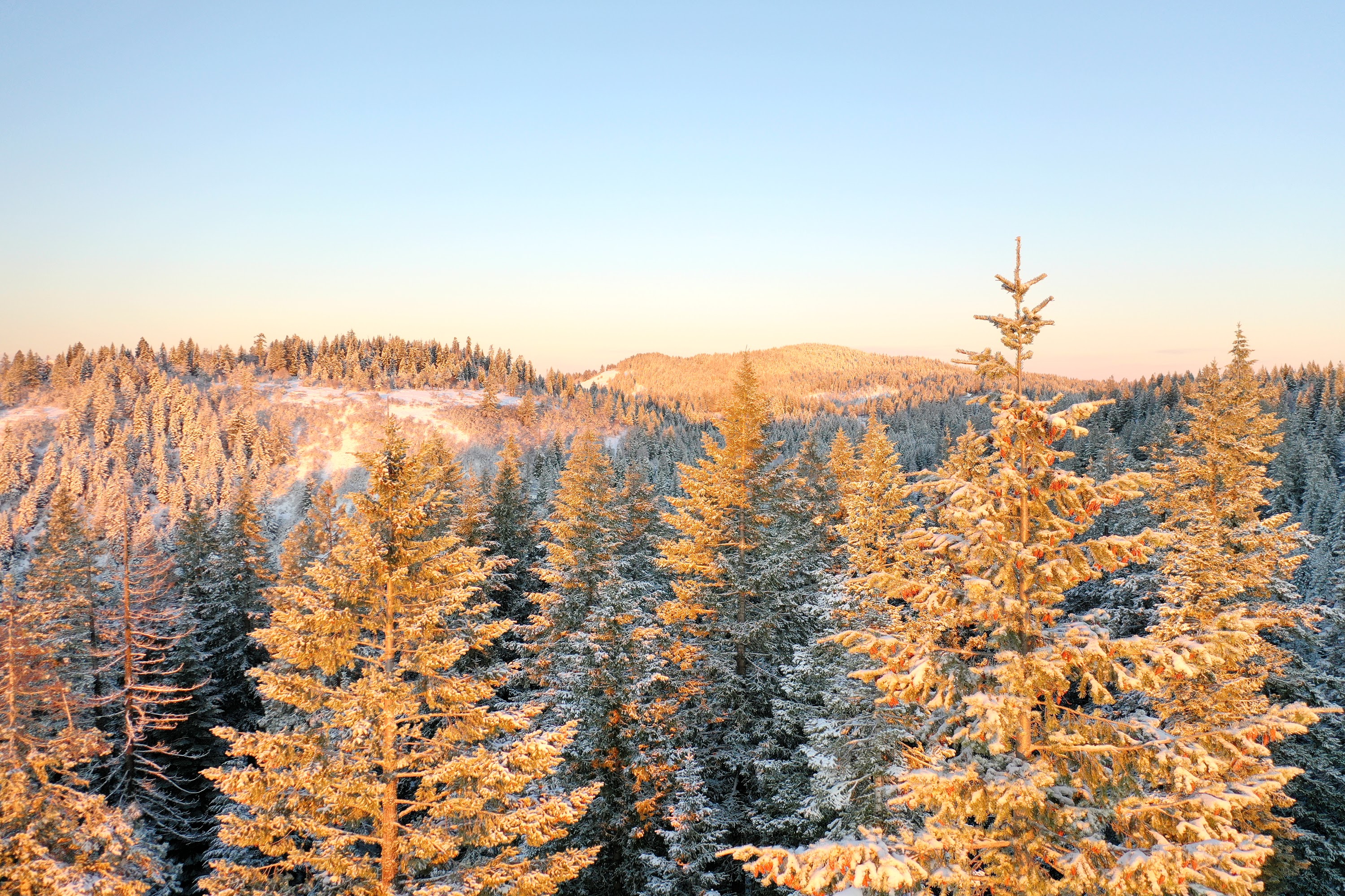 DJI_0466.JPG
