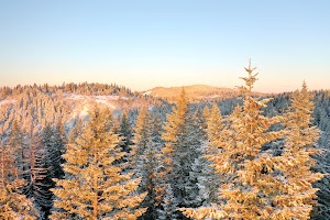 DJI_0466.JPG