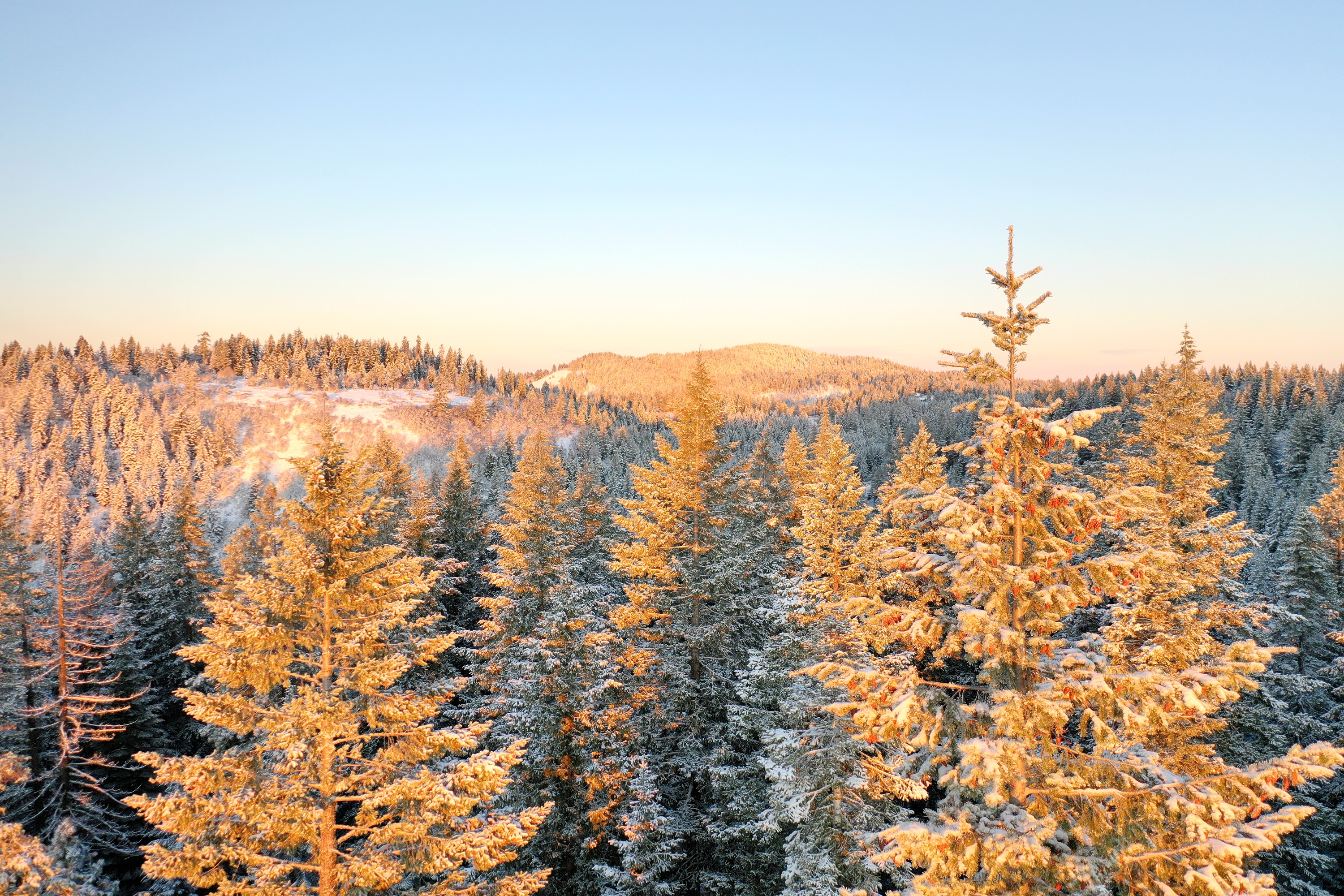 DJI_0467.JPG