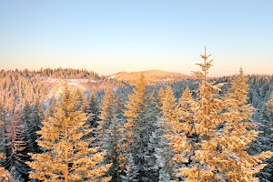 DJI_0467.JPG