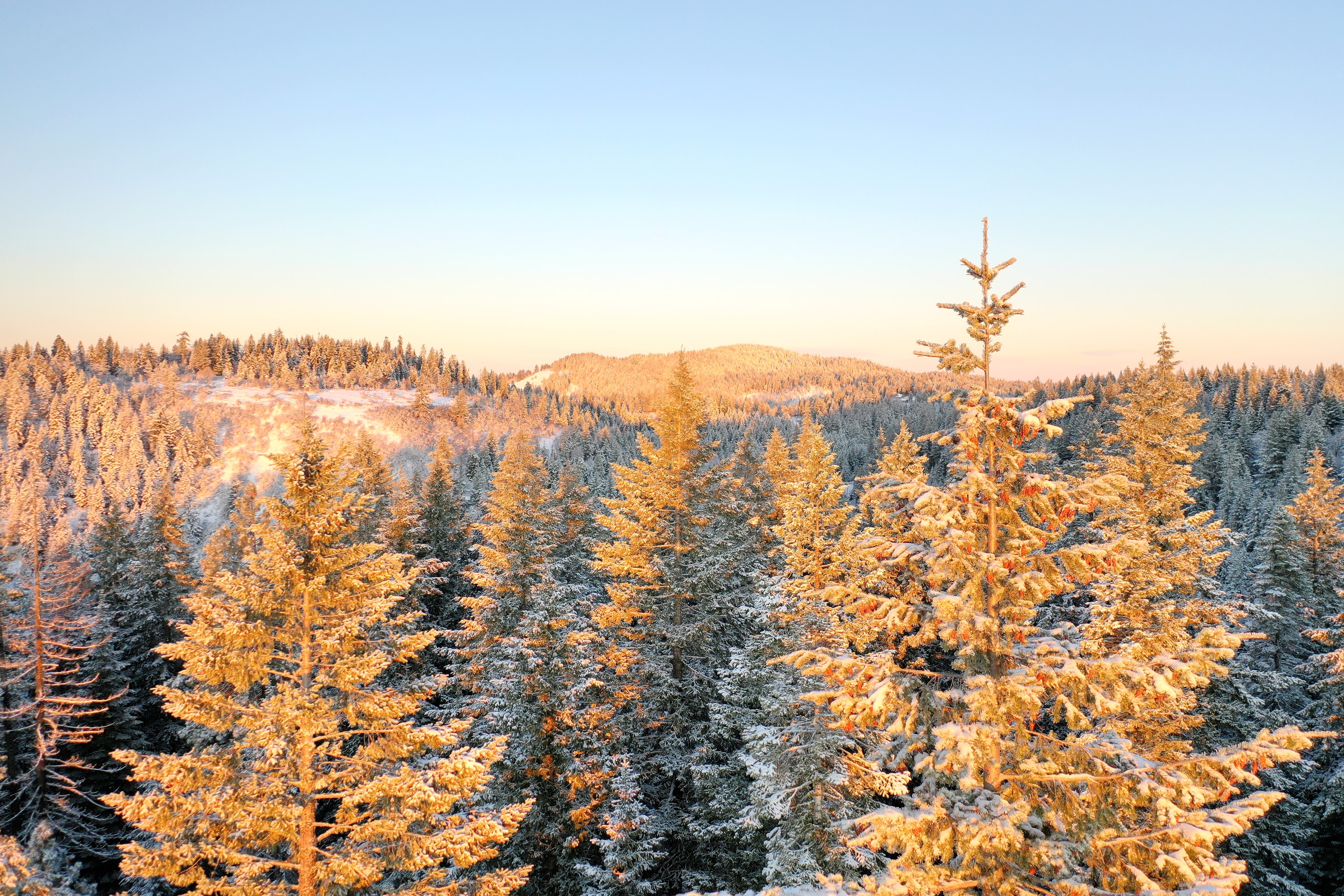 DJI_0468.JPG