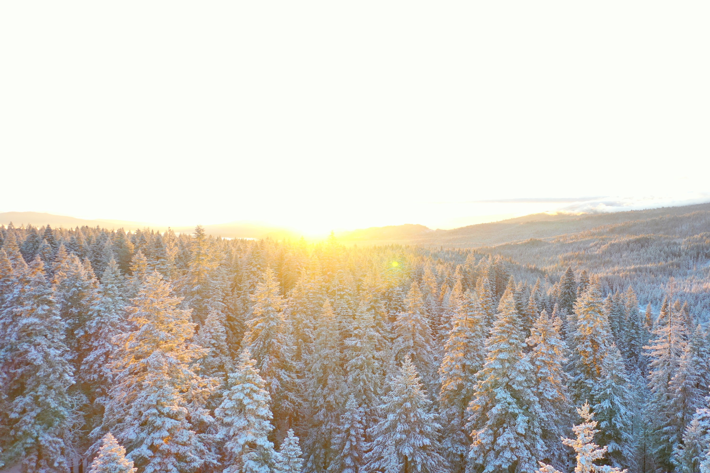 DJI_0476.JPG