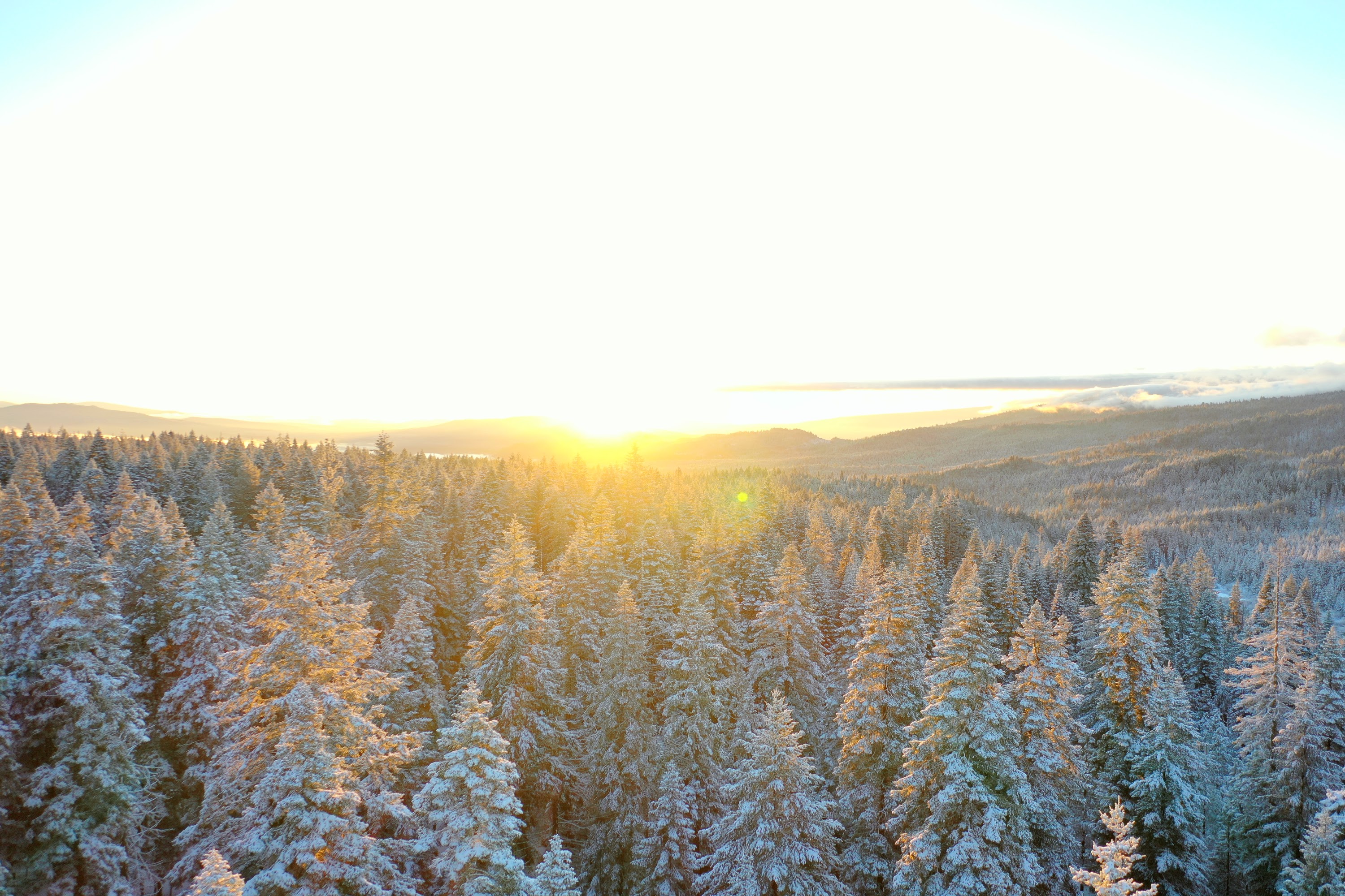 DJI_0477.JPG