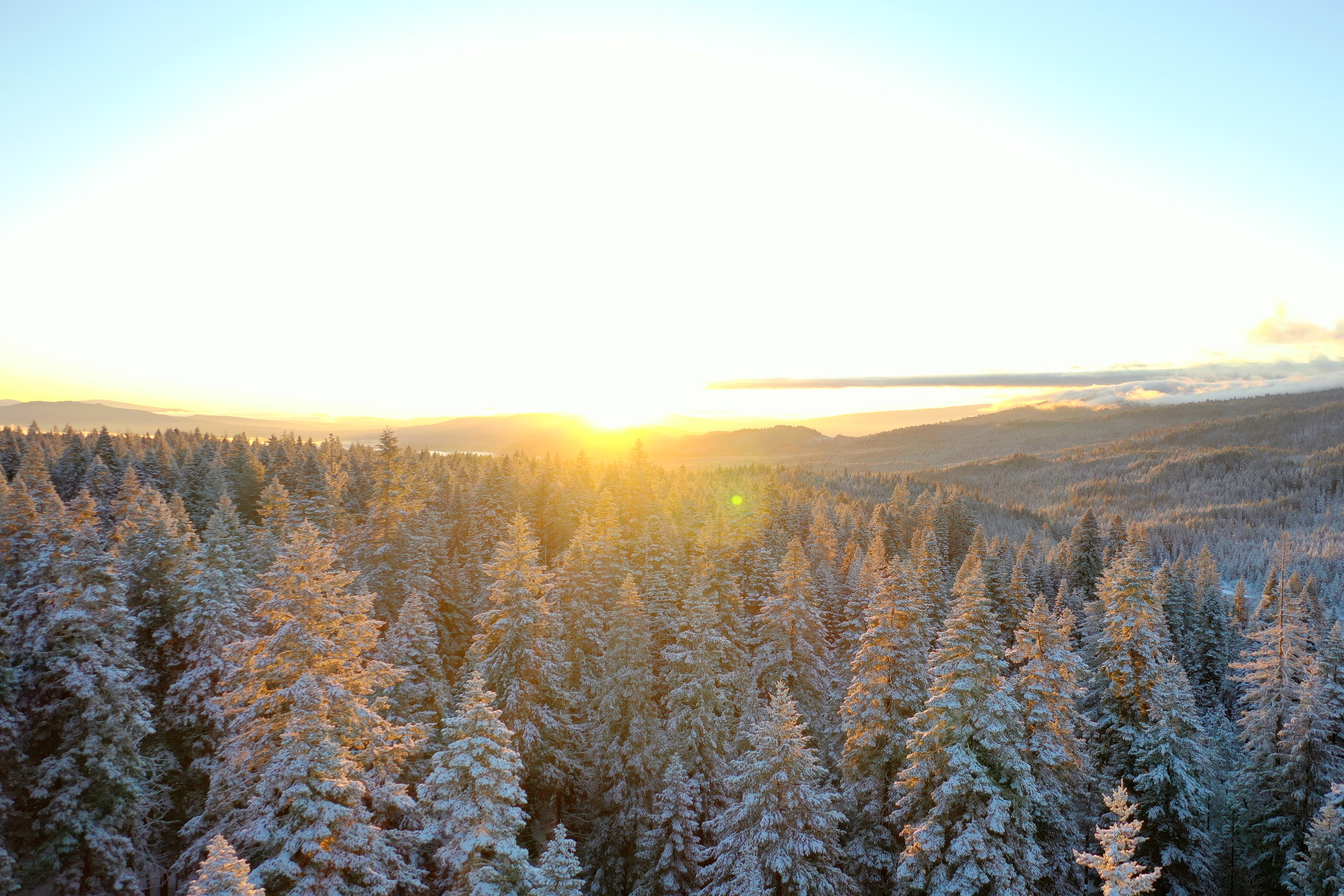 DJI_0478.JPG