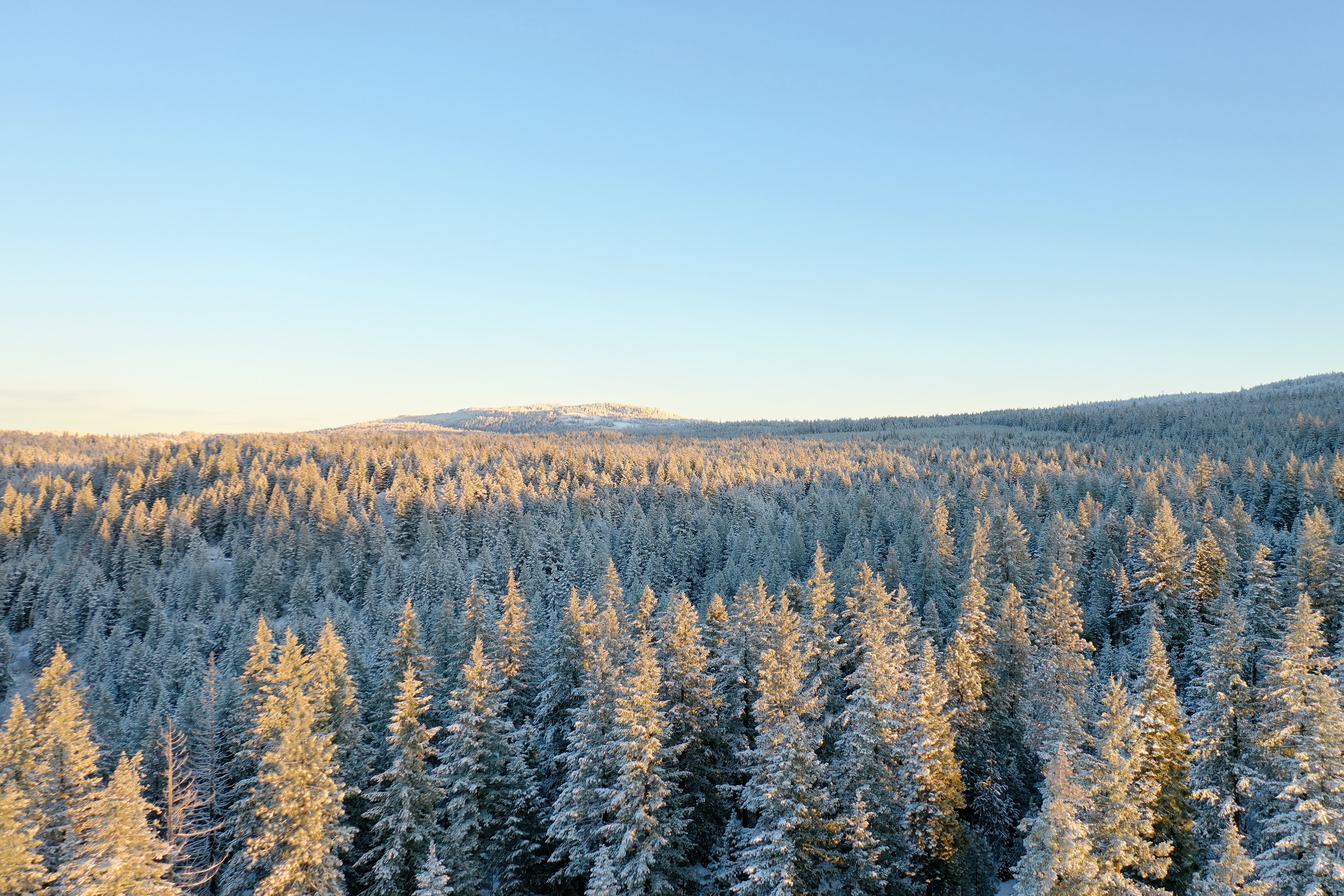 DJI_0482.JPG
