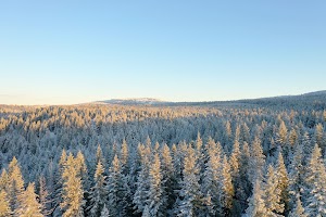 DJI_0482.JPG