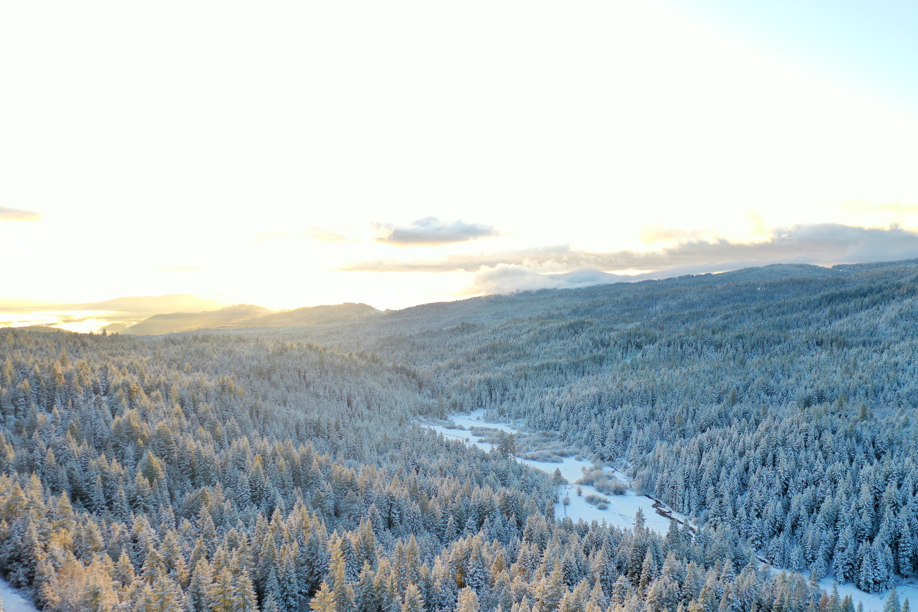 DJI_0489.JPG
