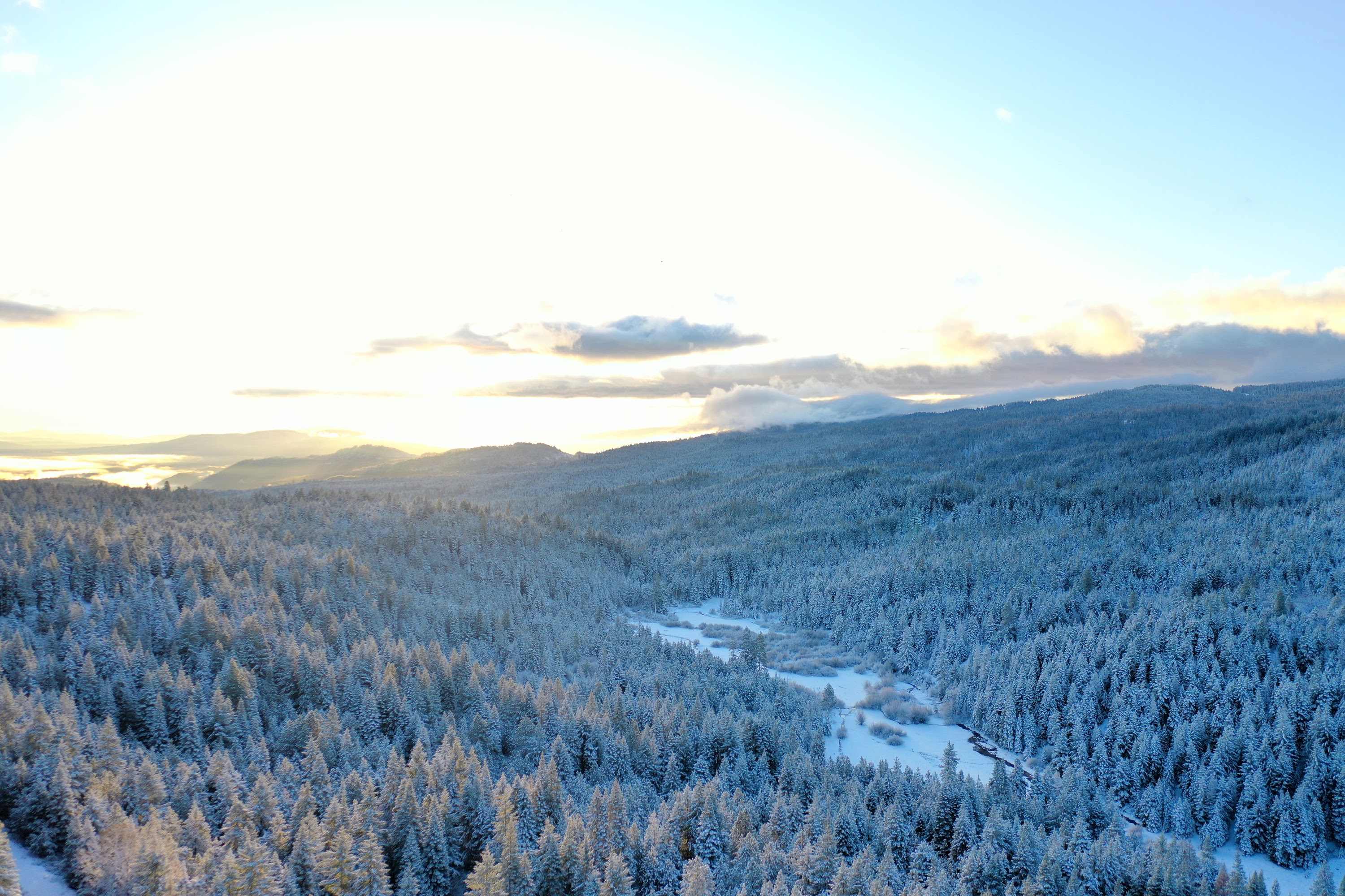 DJI_0490.JPG