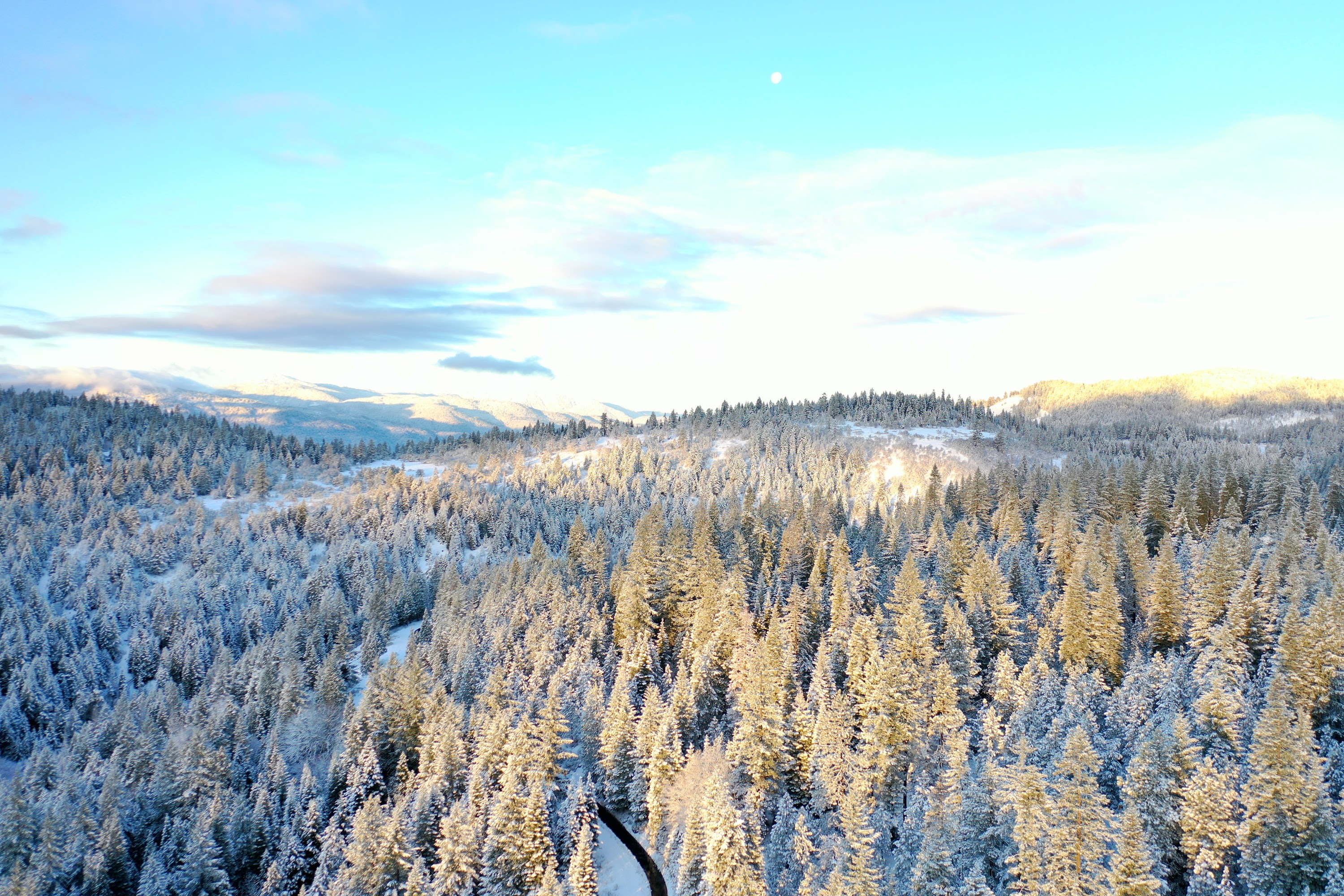 DJI_0492.JPG