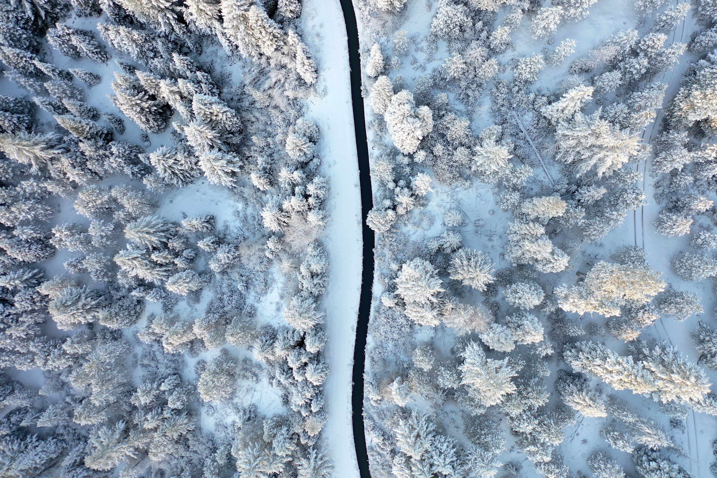 DJI_0494.JPG