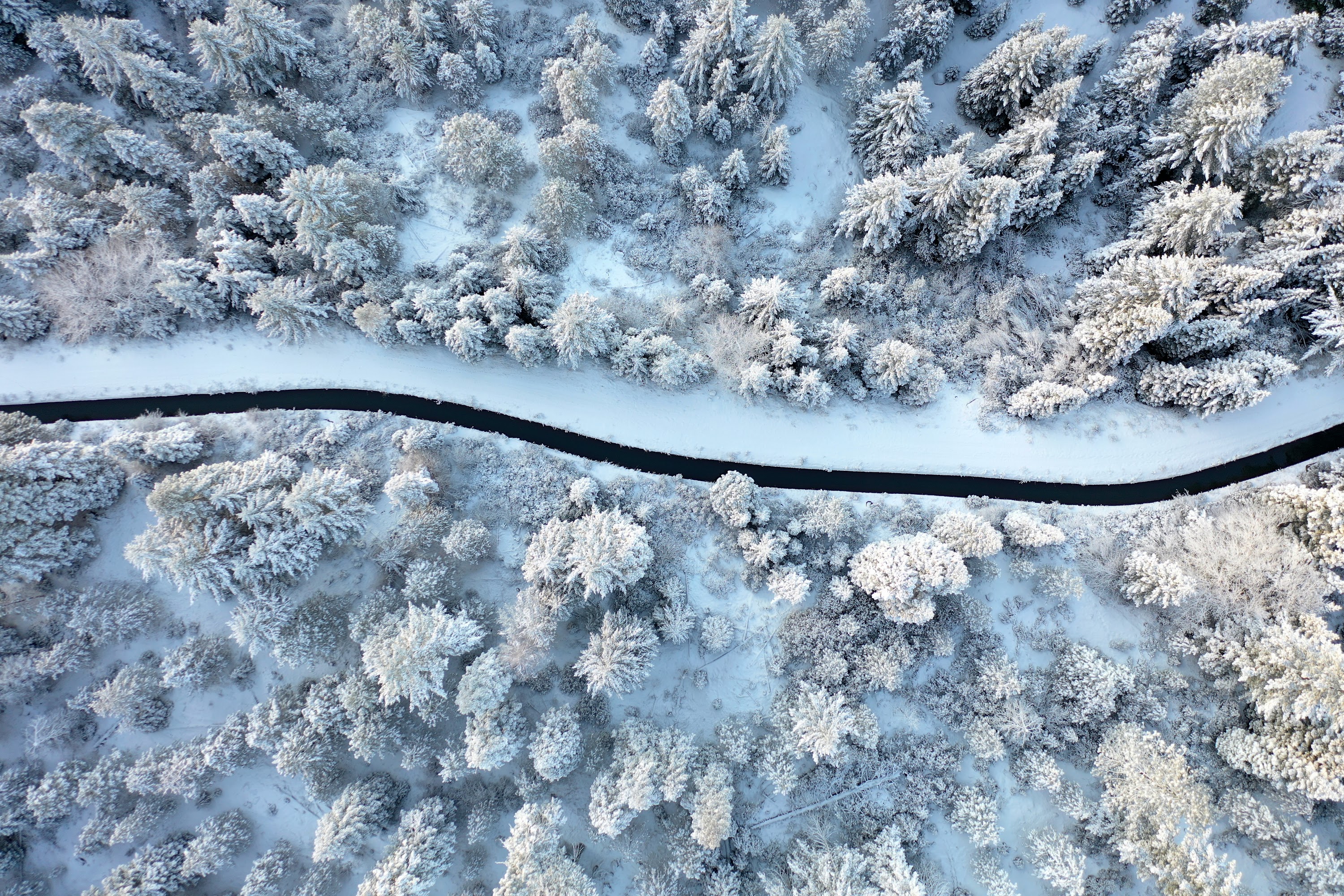 DJI_0495.JPG