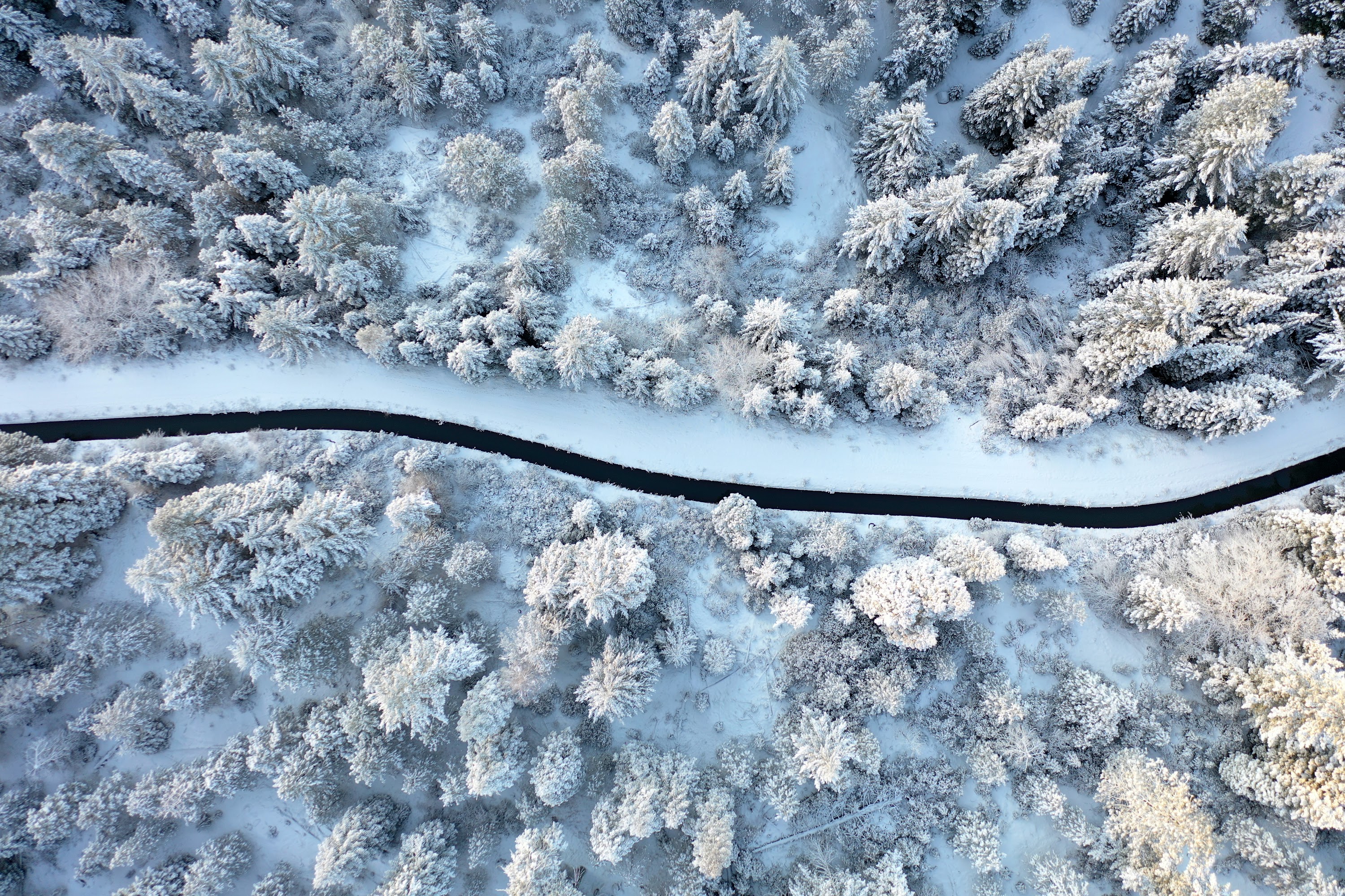 DJI_0496.JPG