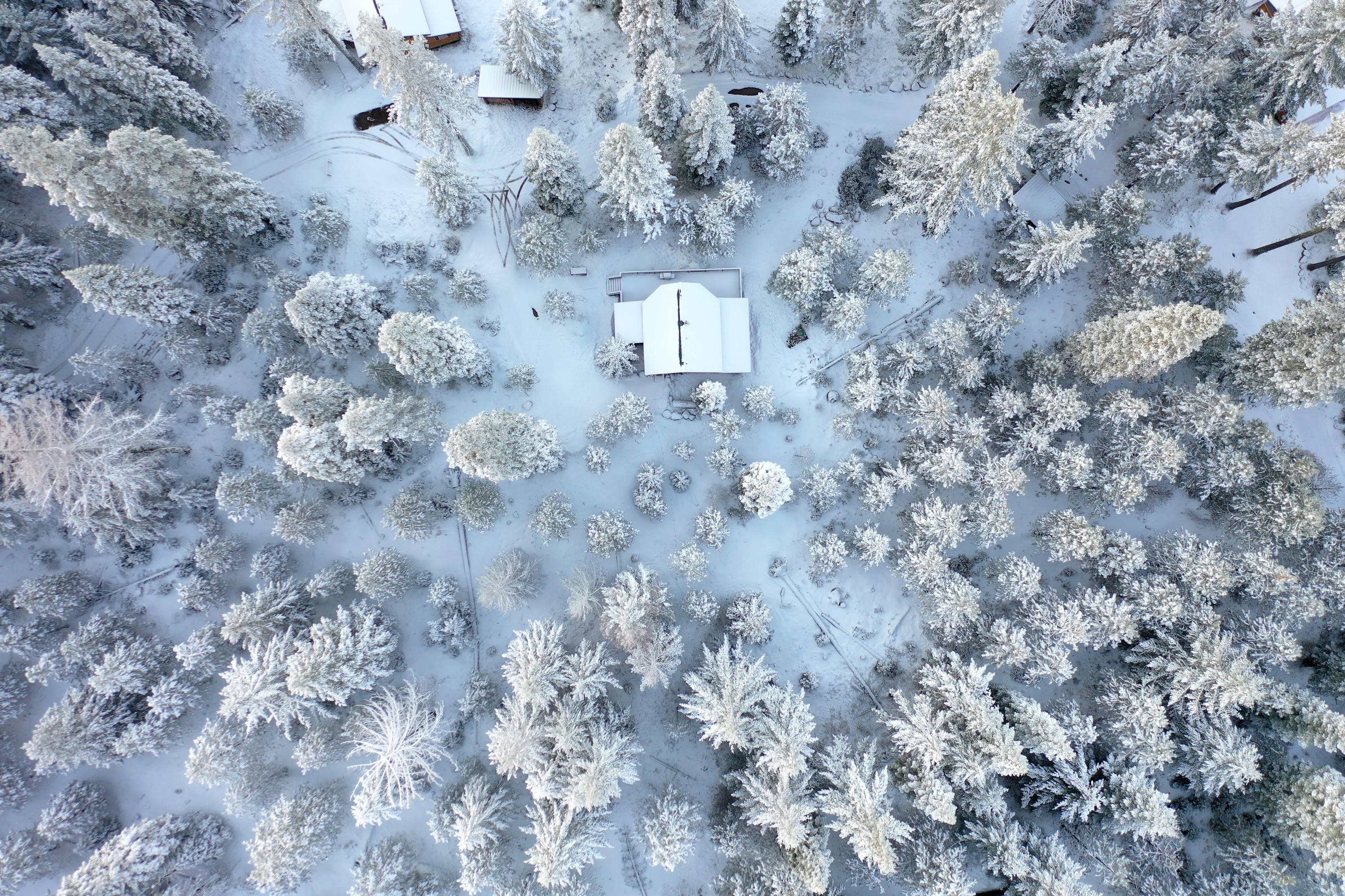 DJI_0500.JPG