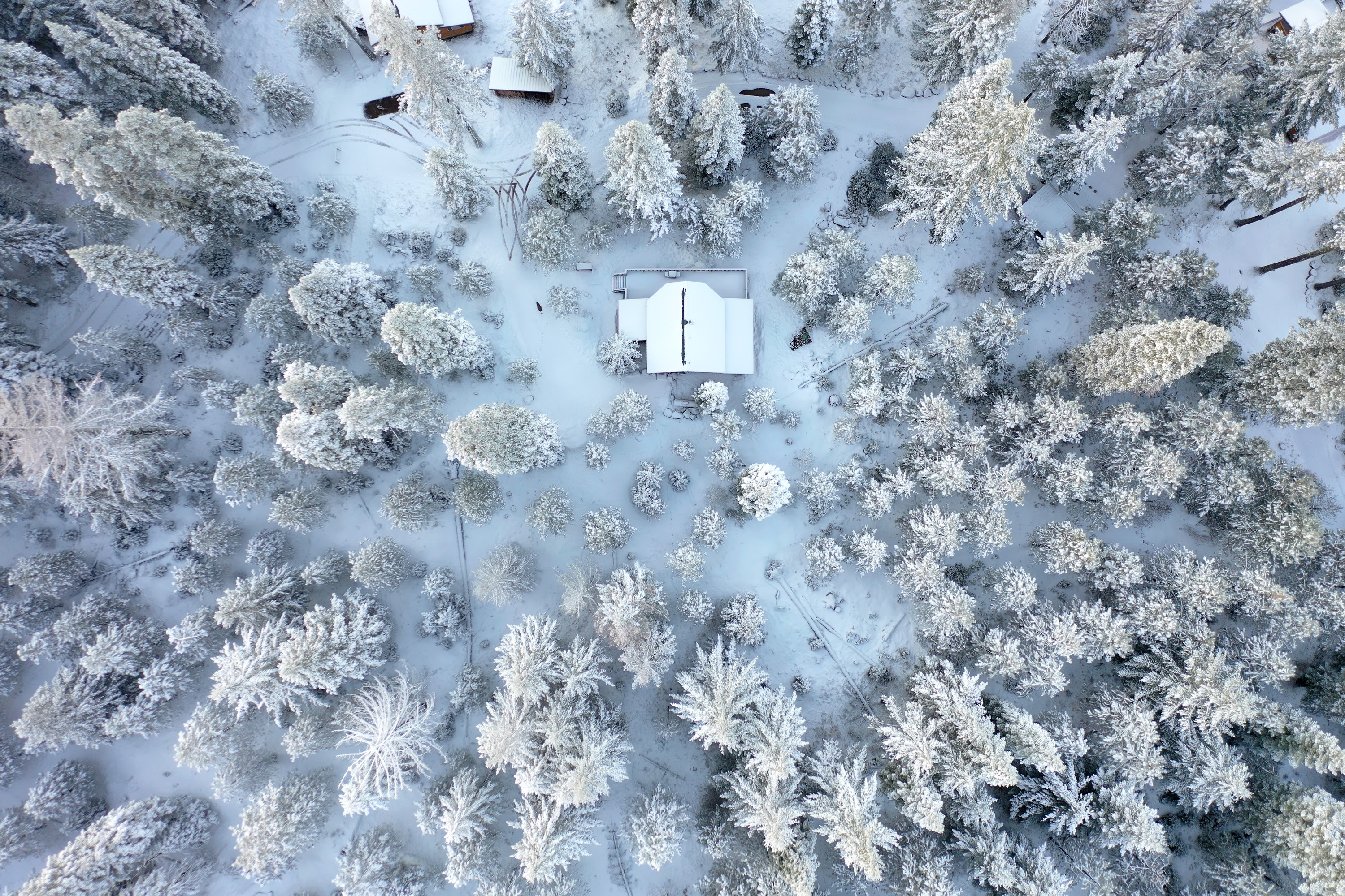 DJI_0501.JPG