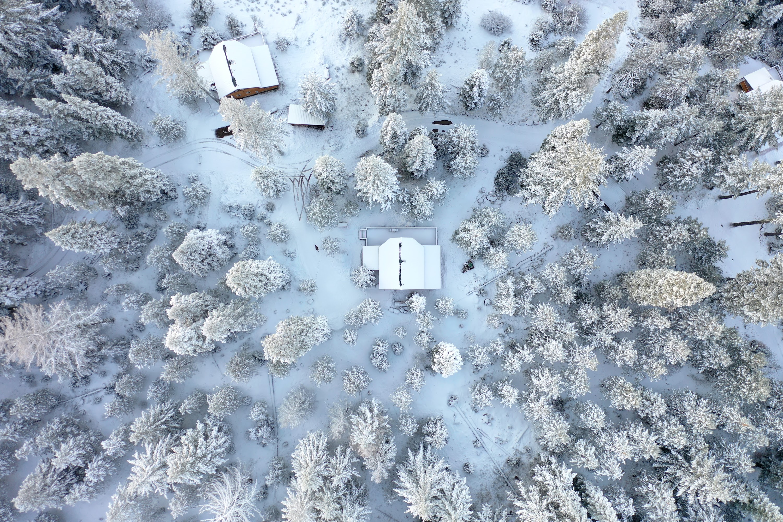 DJI_0502.JPG