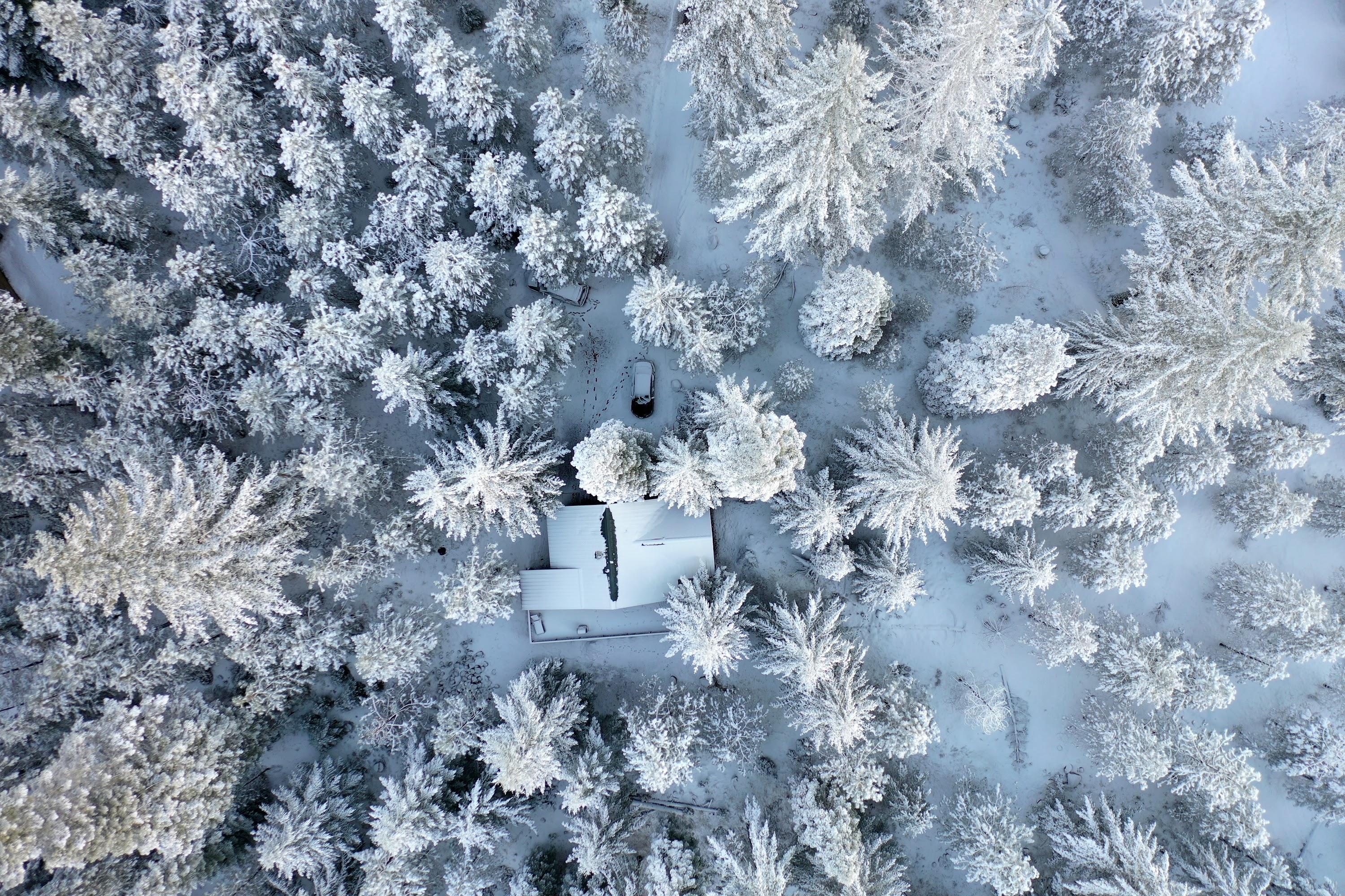 DJI_0503.JPG