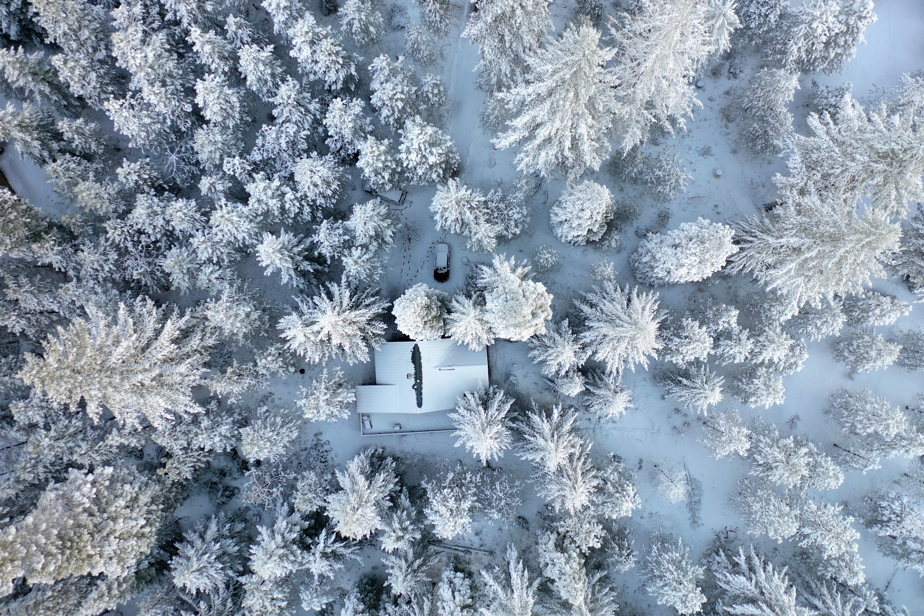 DJI_0504.JPG