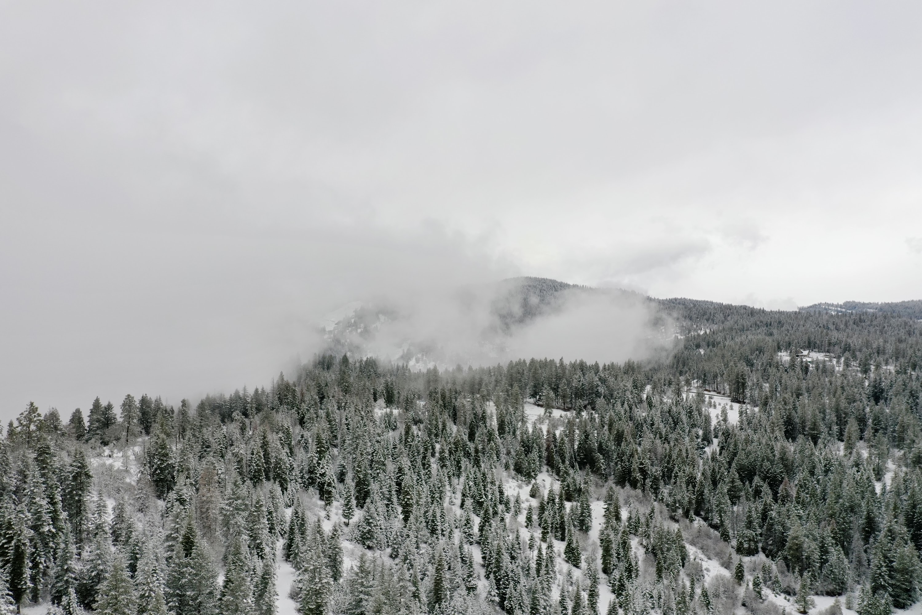 DJI_0515.JPG