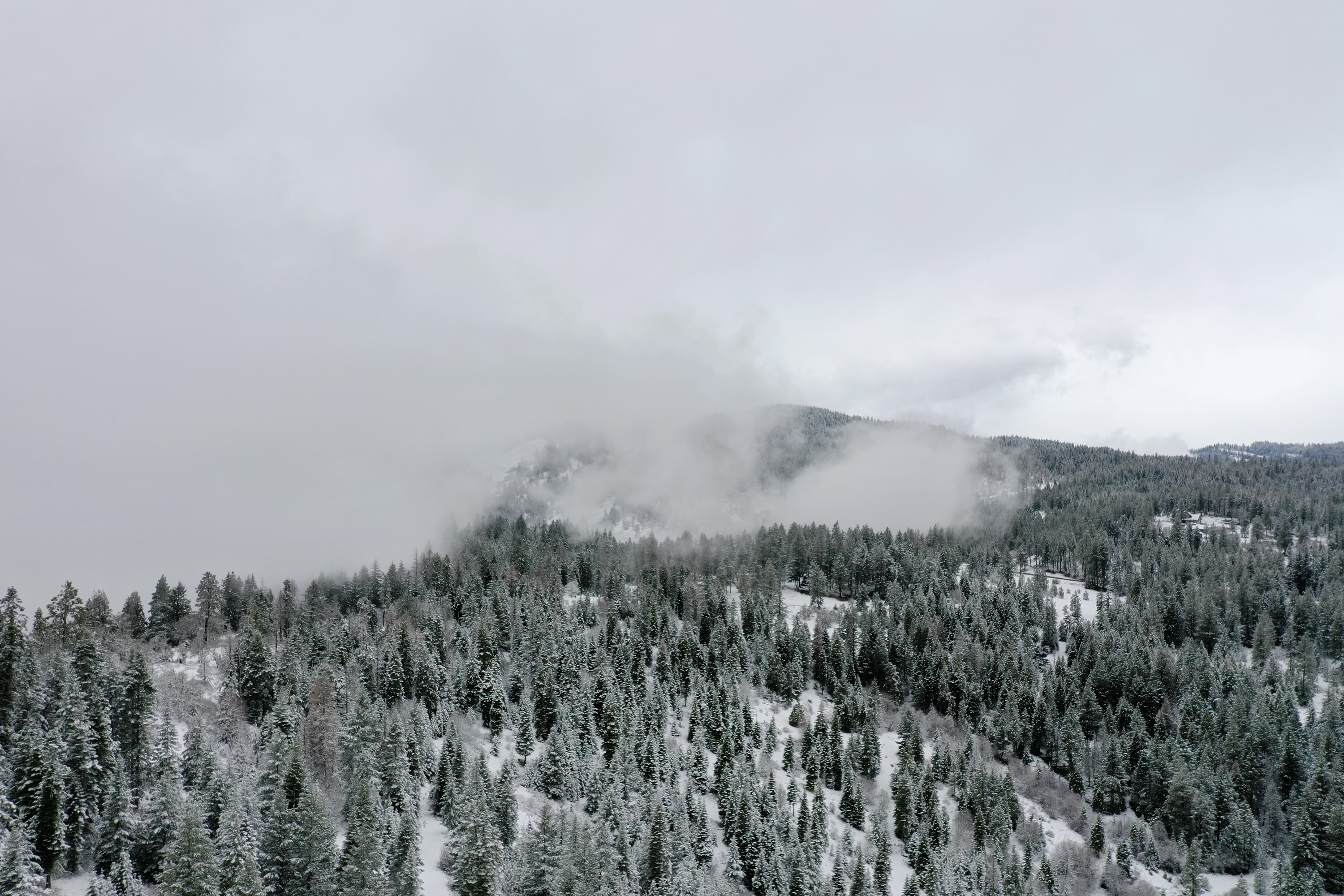 DJI_0516.JPG