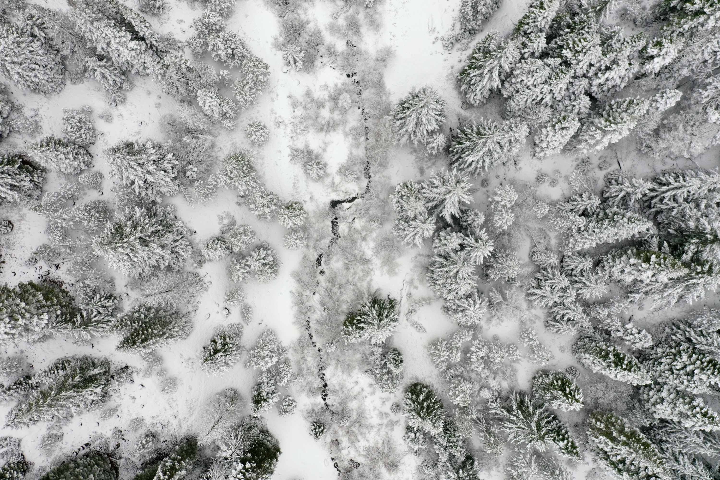 DJI_0521.JPG