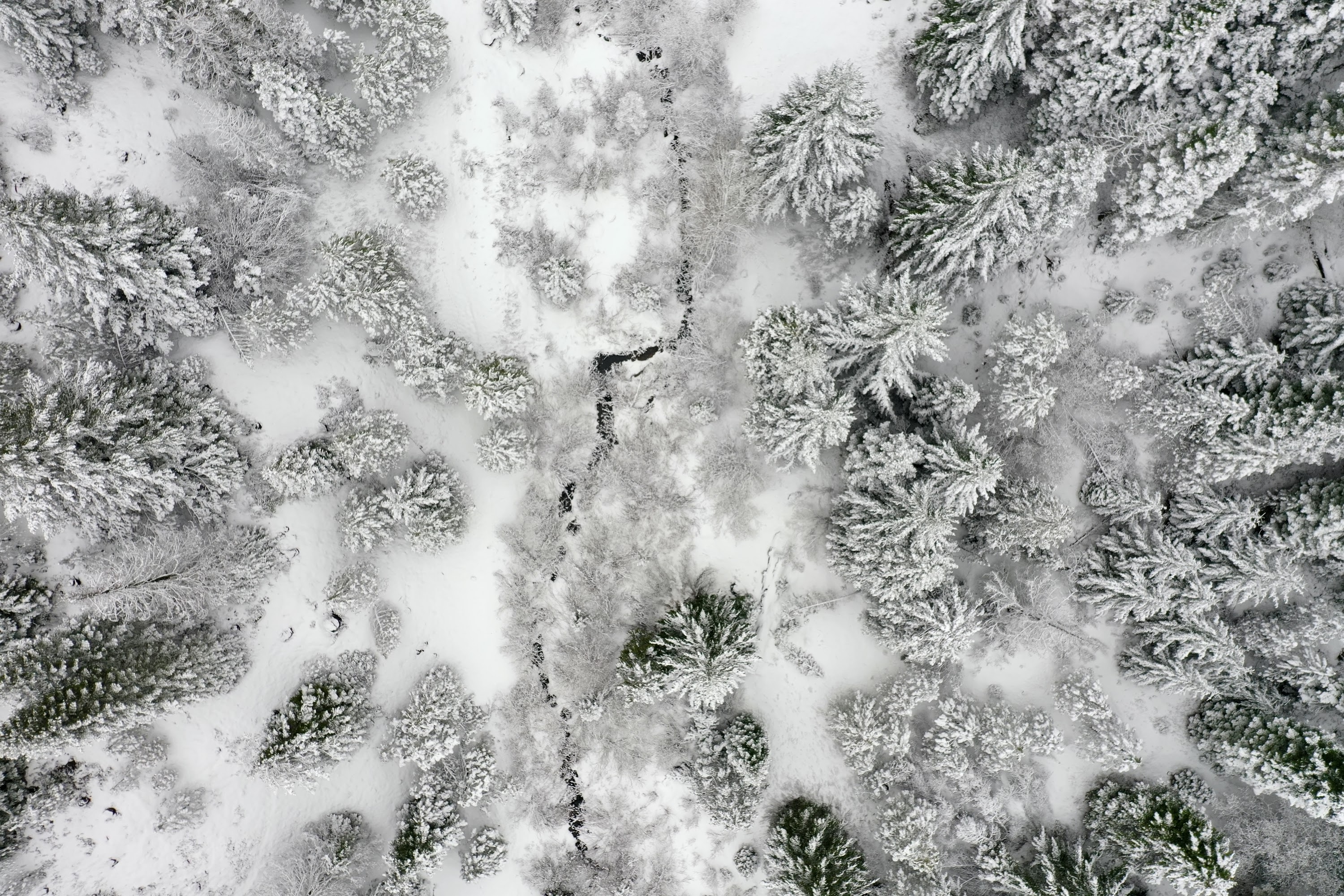 DJI_0522.JPG