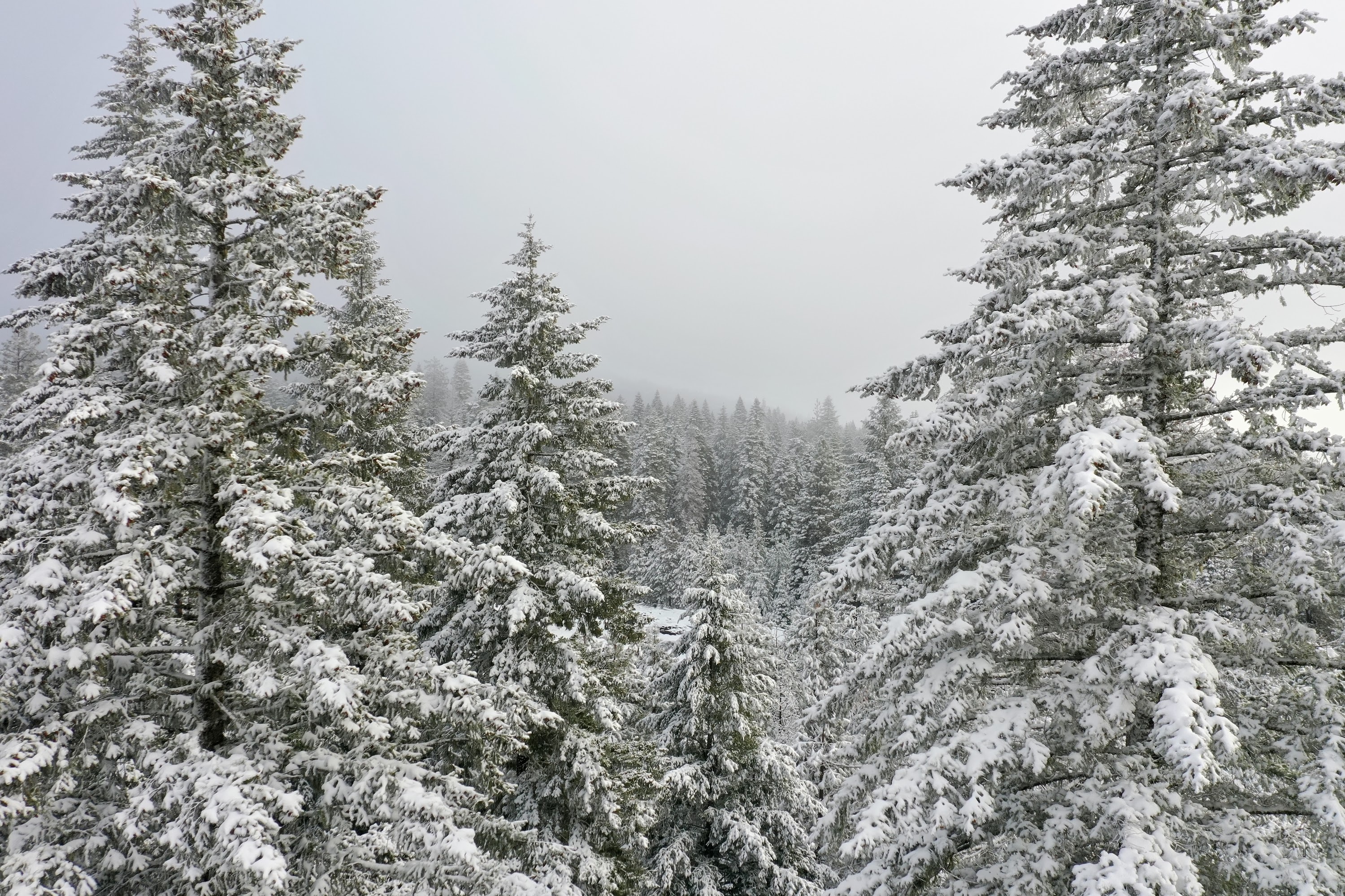 DJI_0529.JPG