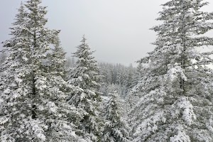 DJI_0529.JPG