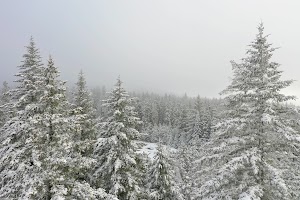 DJI_0530.JPG