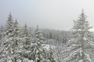 DJI_0531.JPG