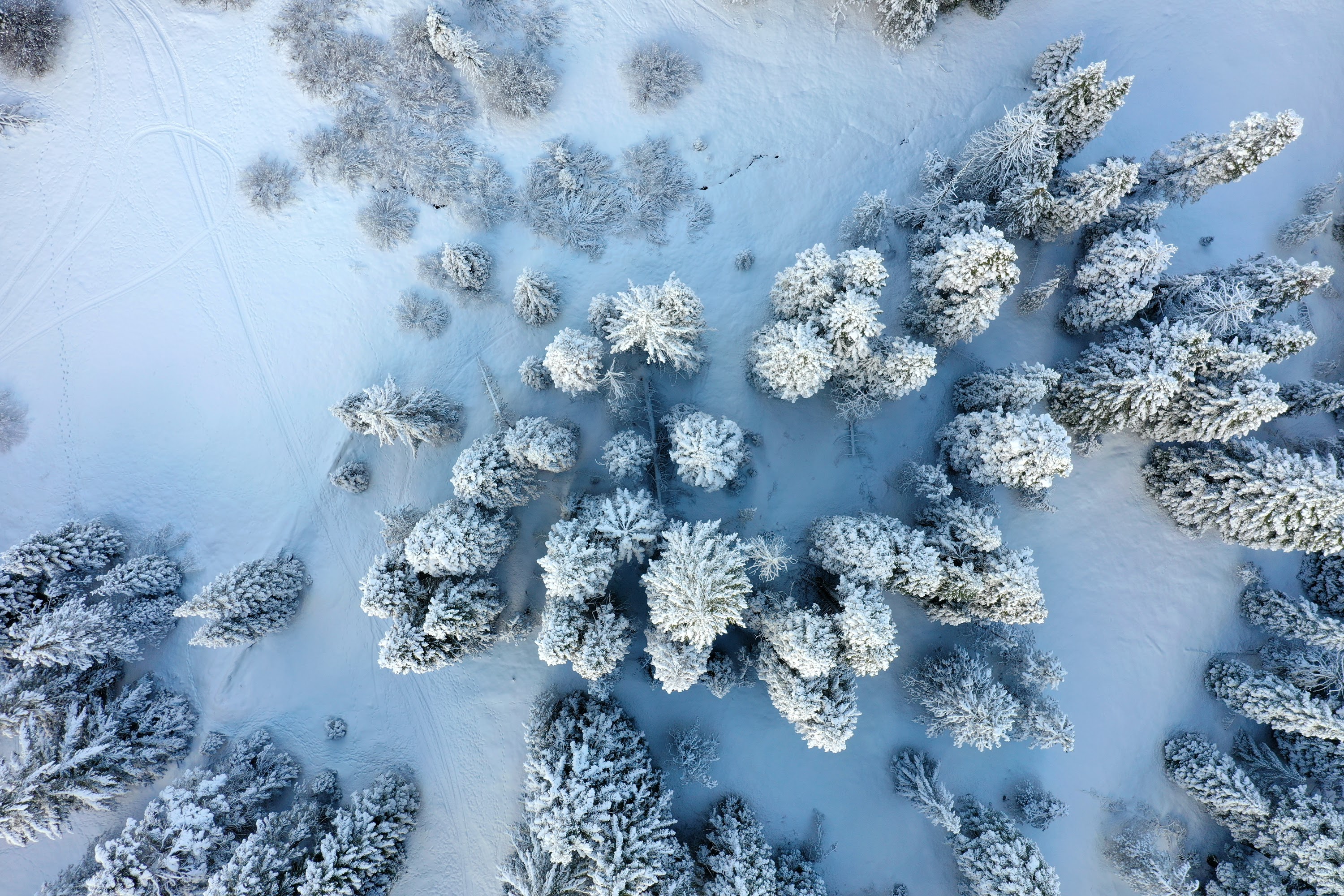 DJI_0550.JPG