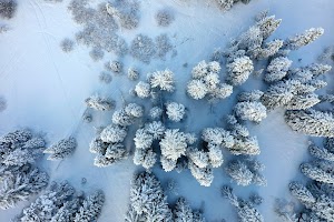 DJI_0550.JPG